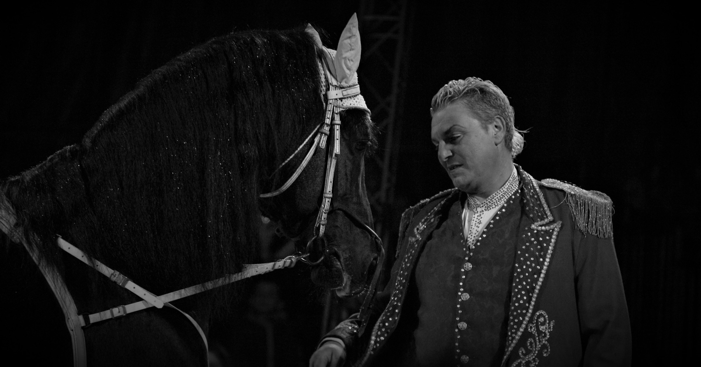 Il domatore di cavalli