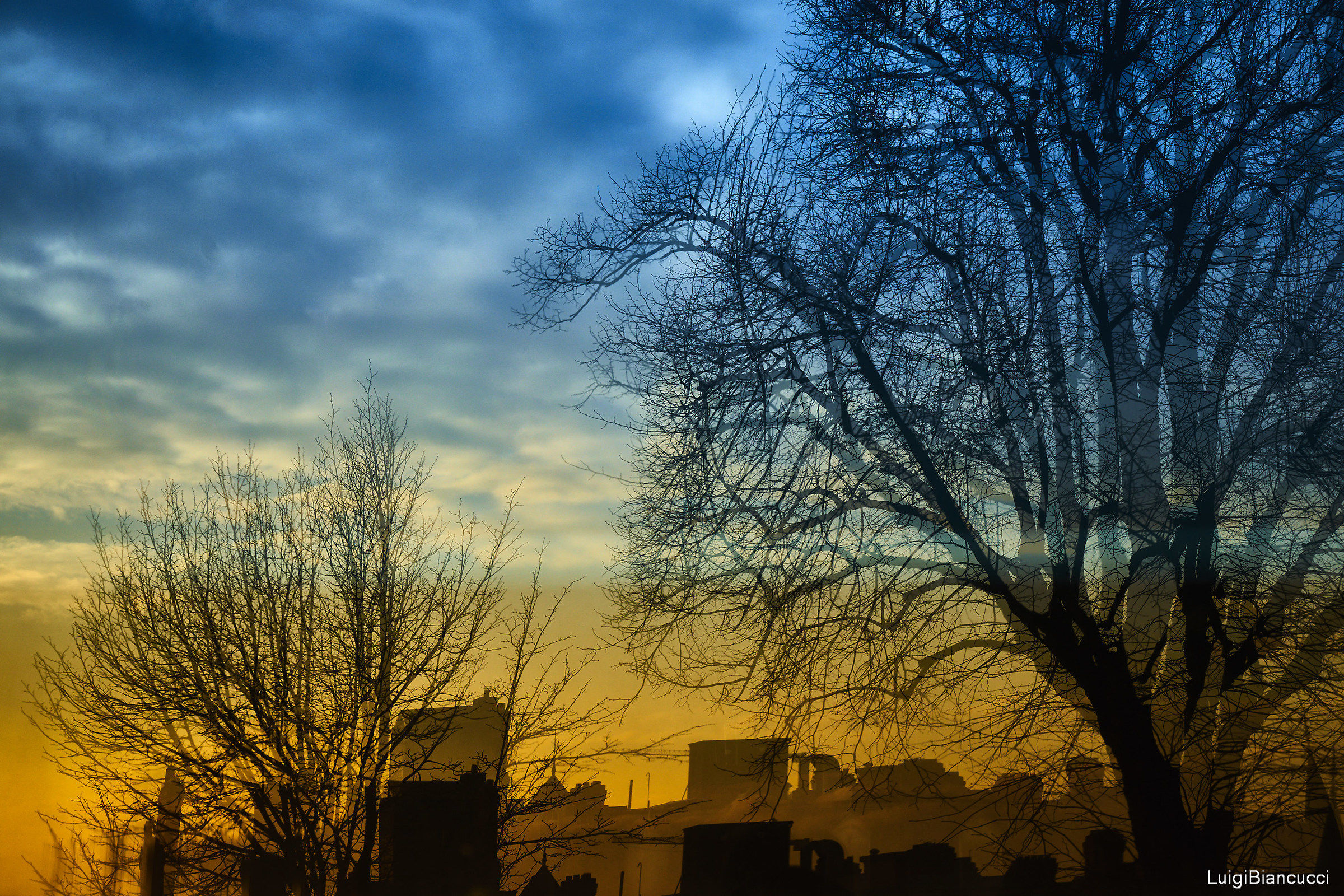 Reflection in a window