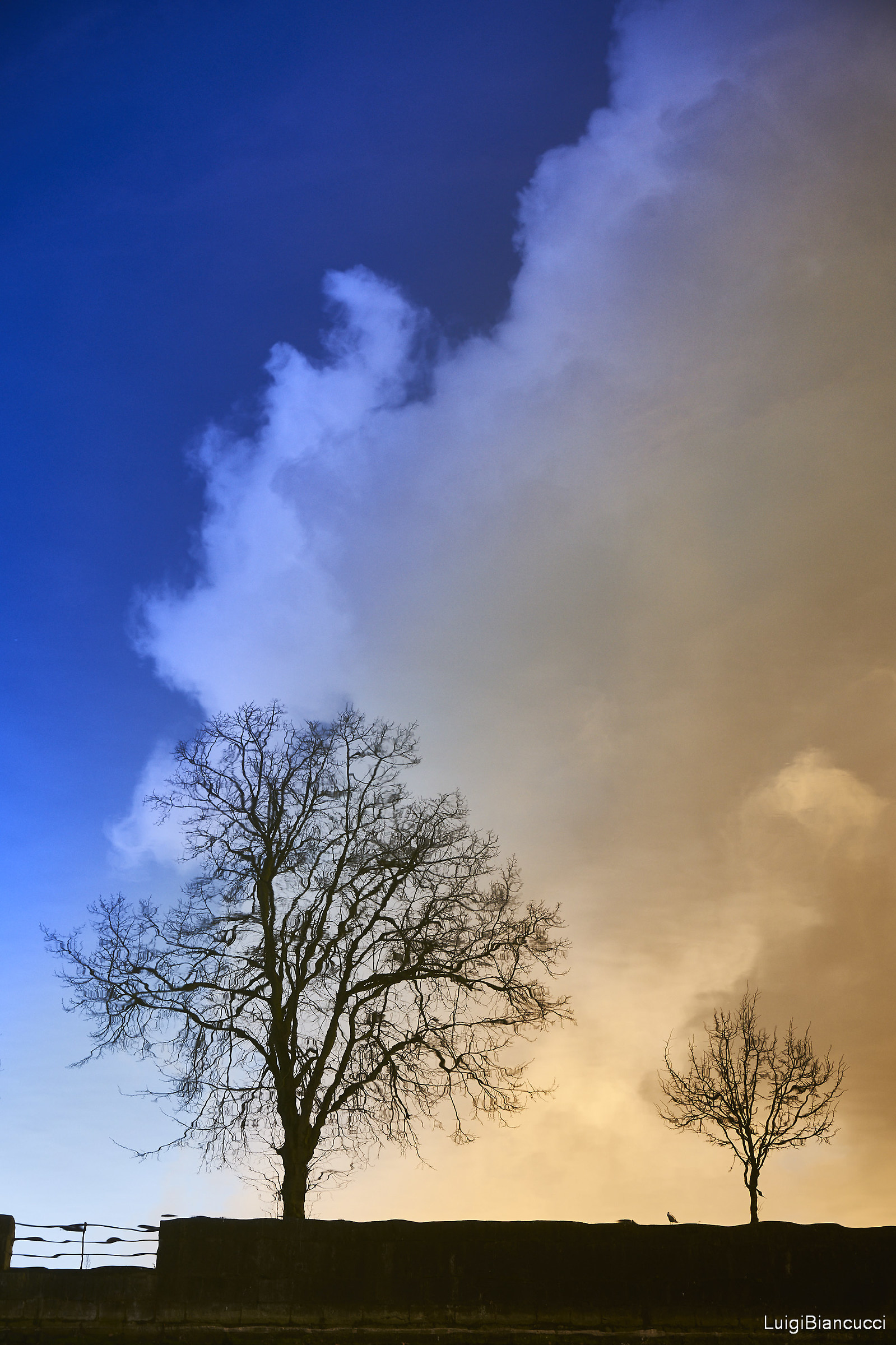Reflected in the River Lee