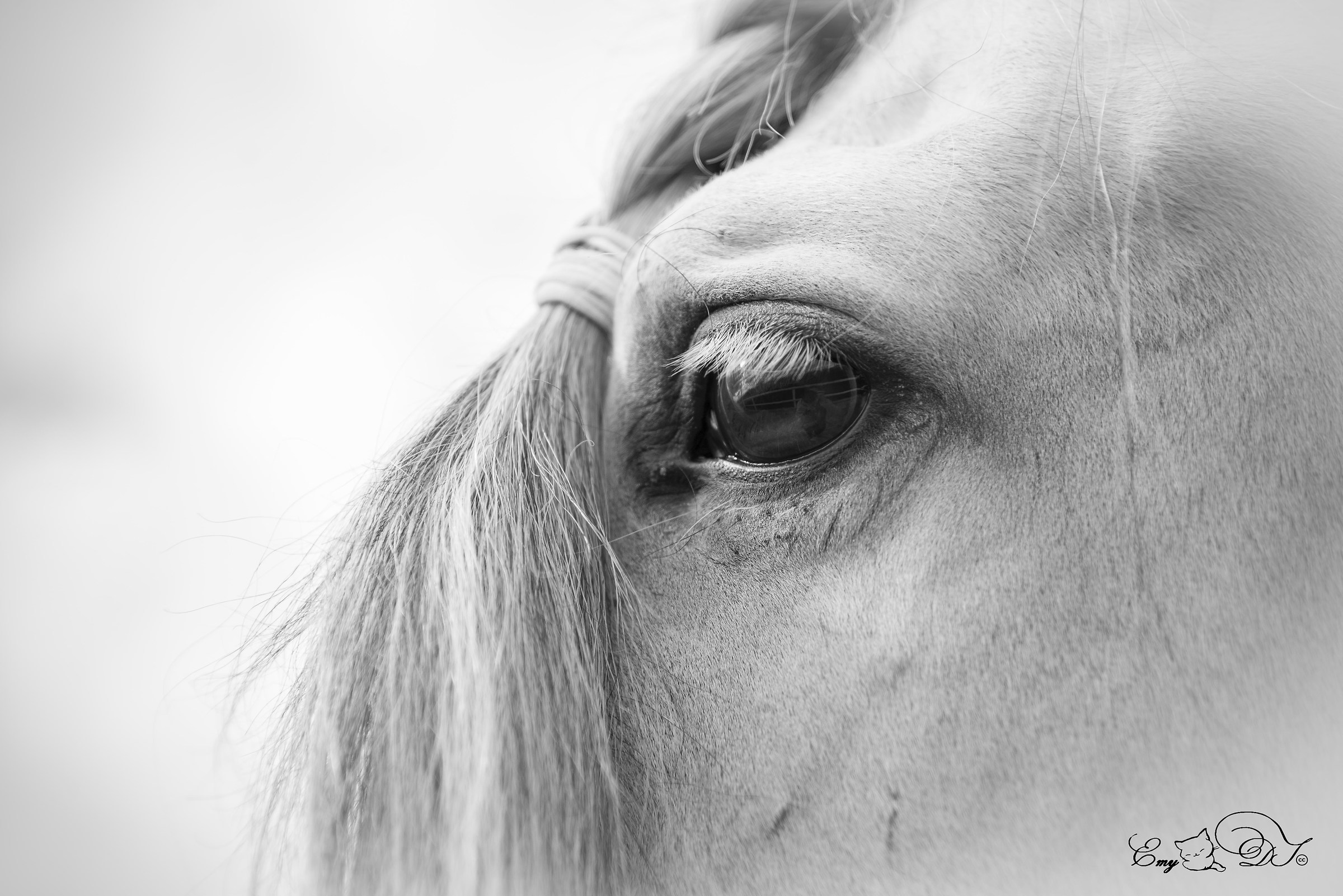 The mirror of the soul