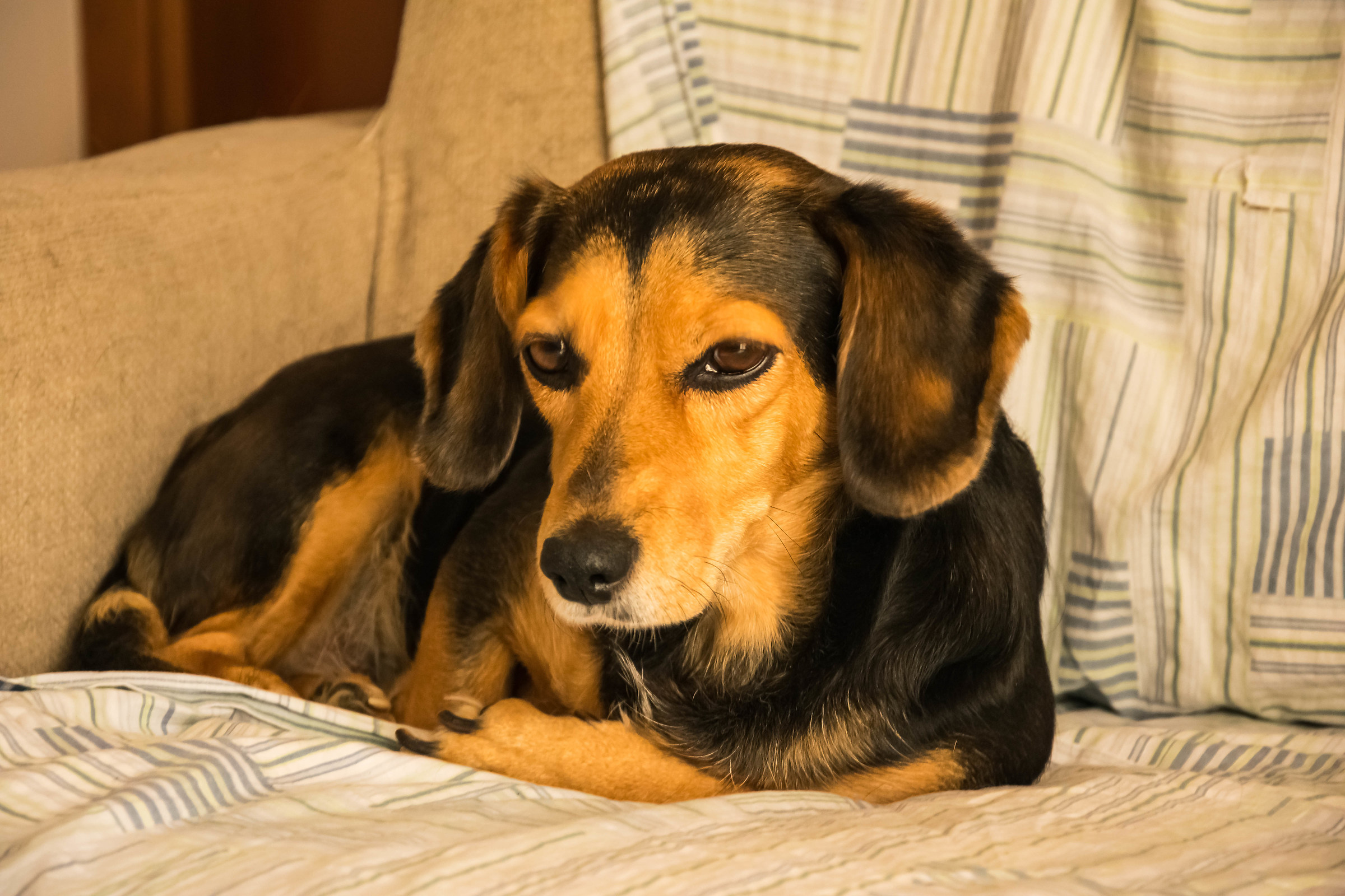 kelly is thinking ....