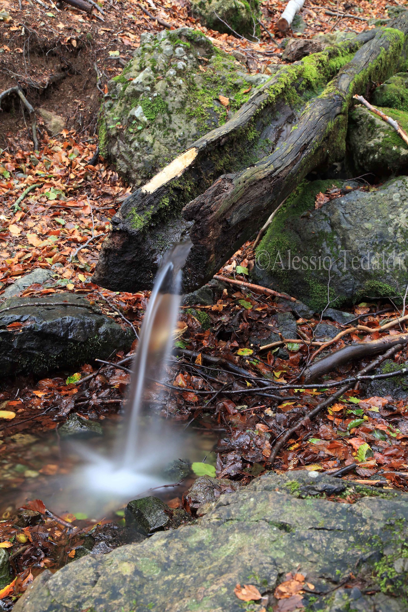 Acqua, sorgente di vita