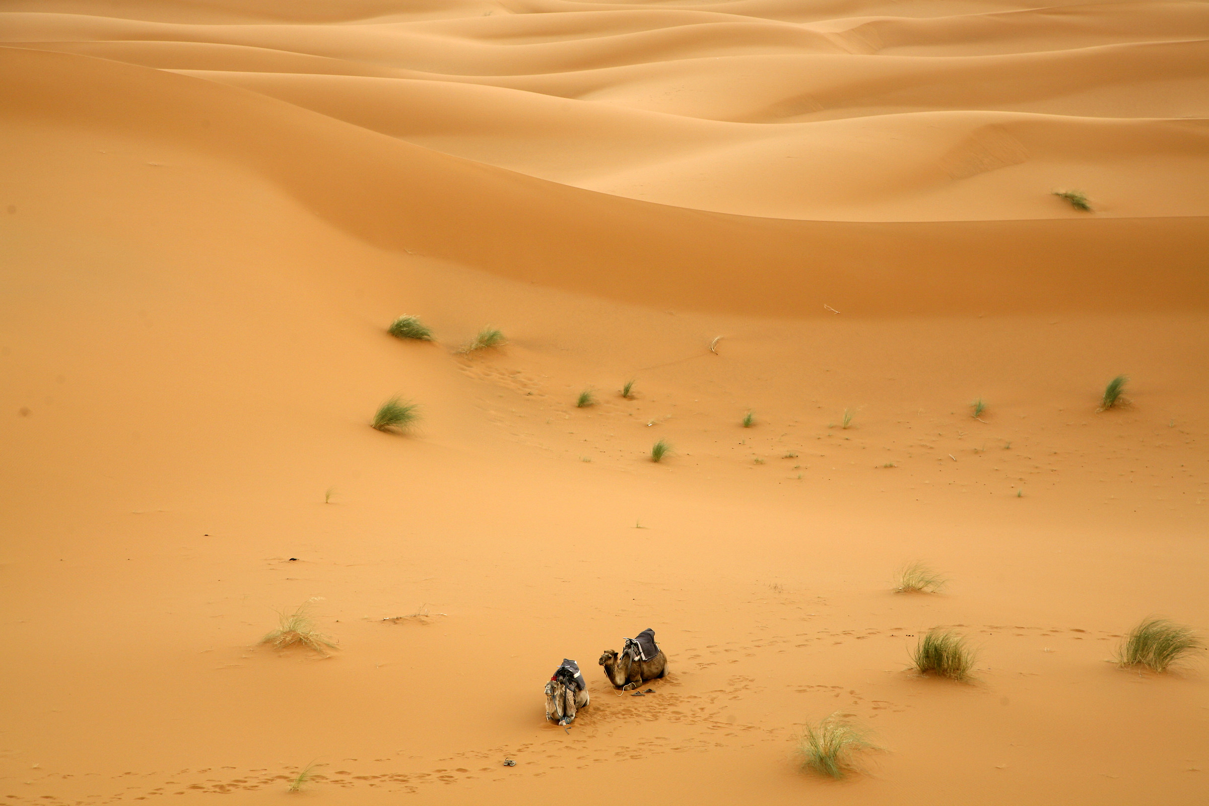 Alone in the desert of Morocco