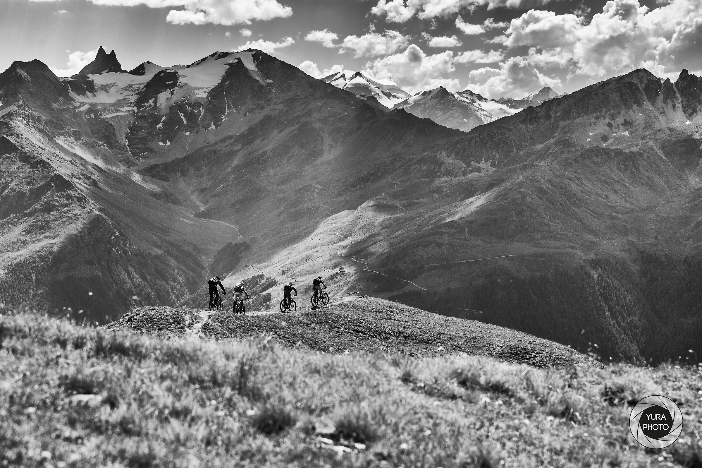 I quattro dell' Oca selvaggia