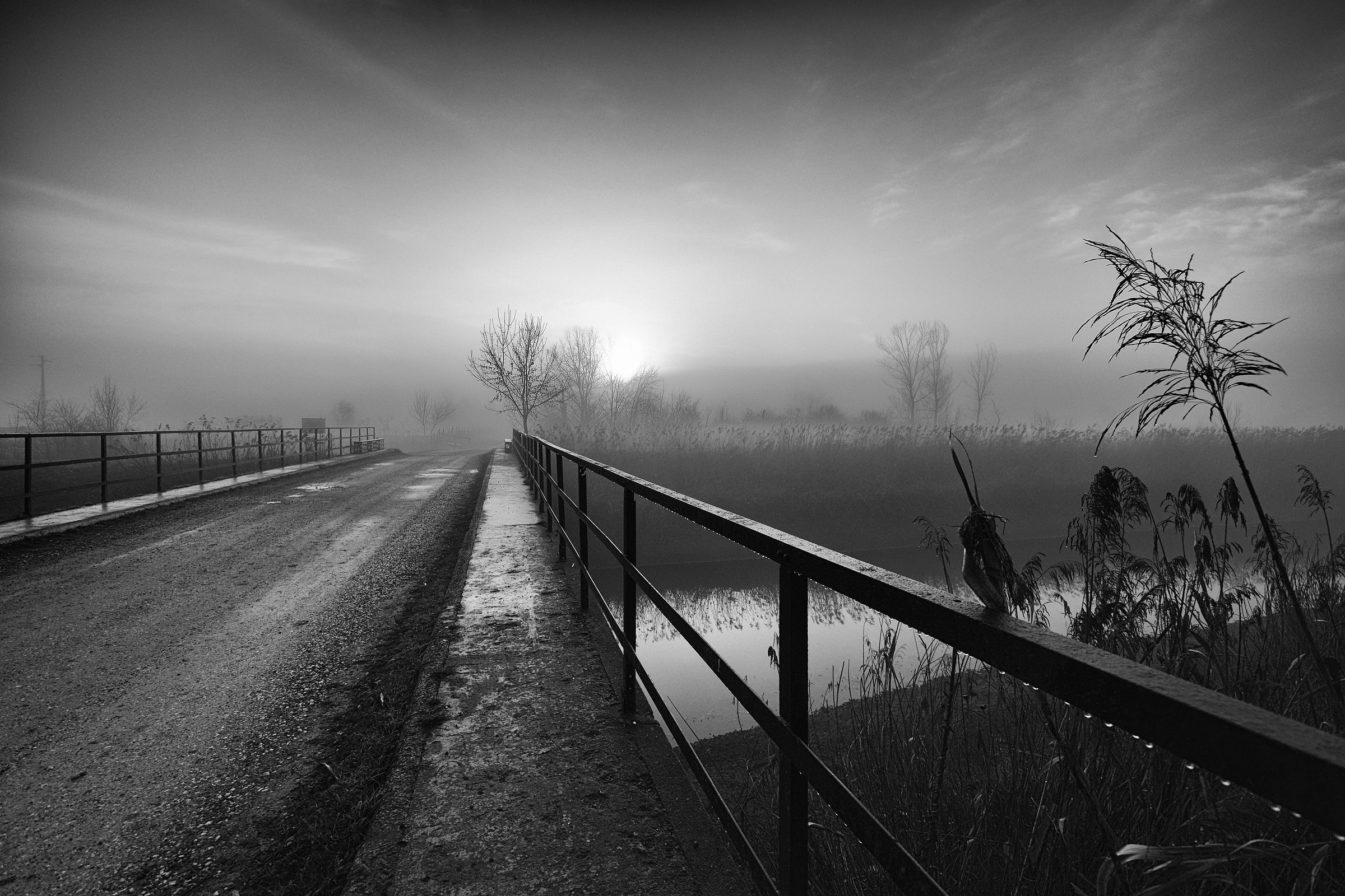 Nebbia e sole in b/n