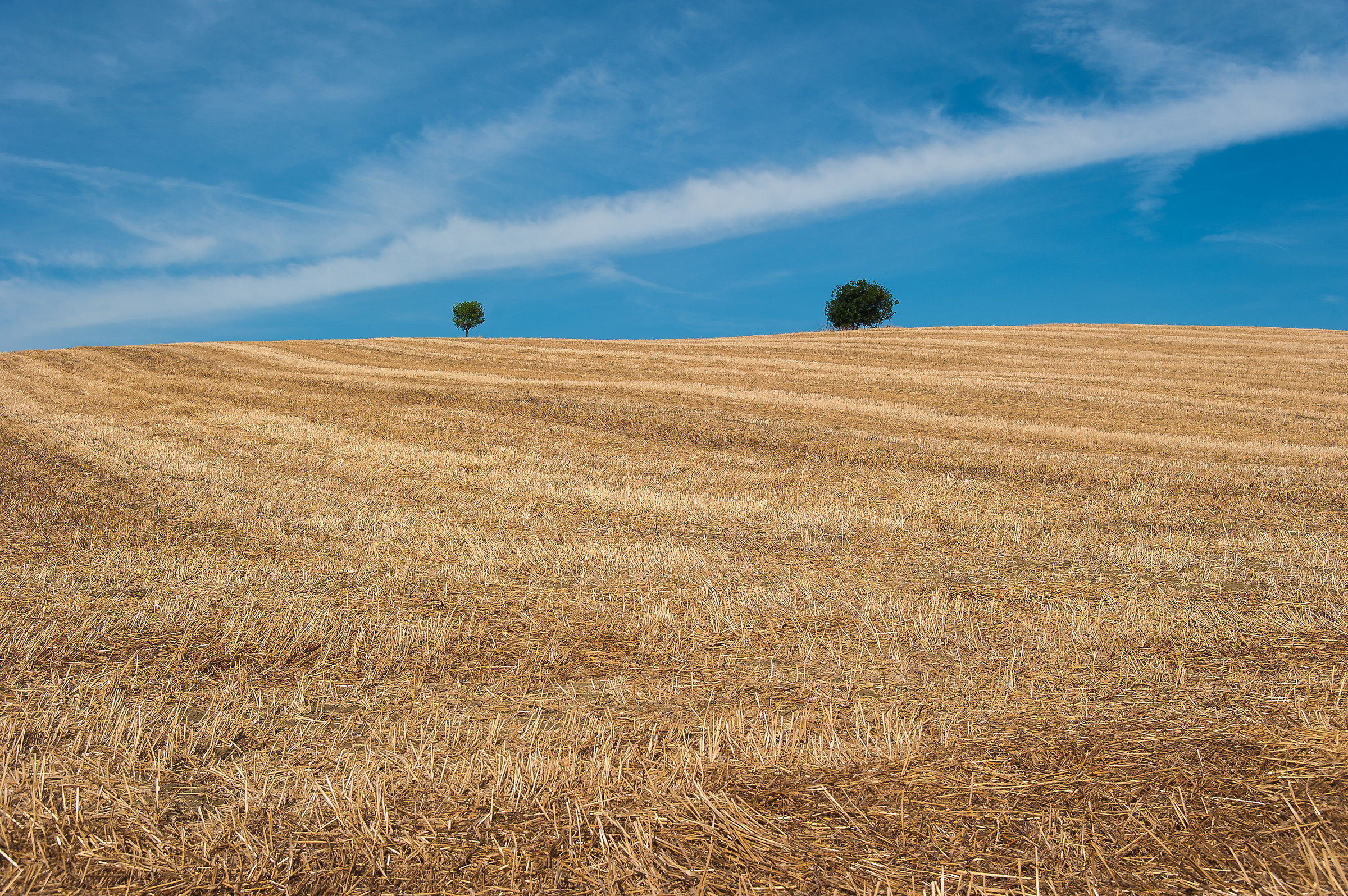 Complementary Tuscan countryside