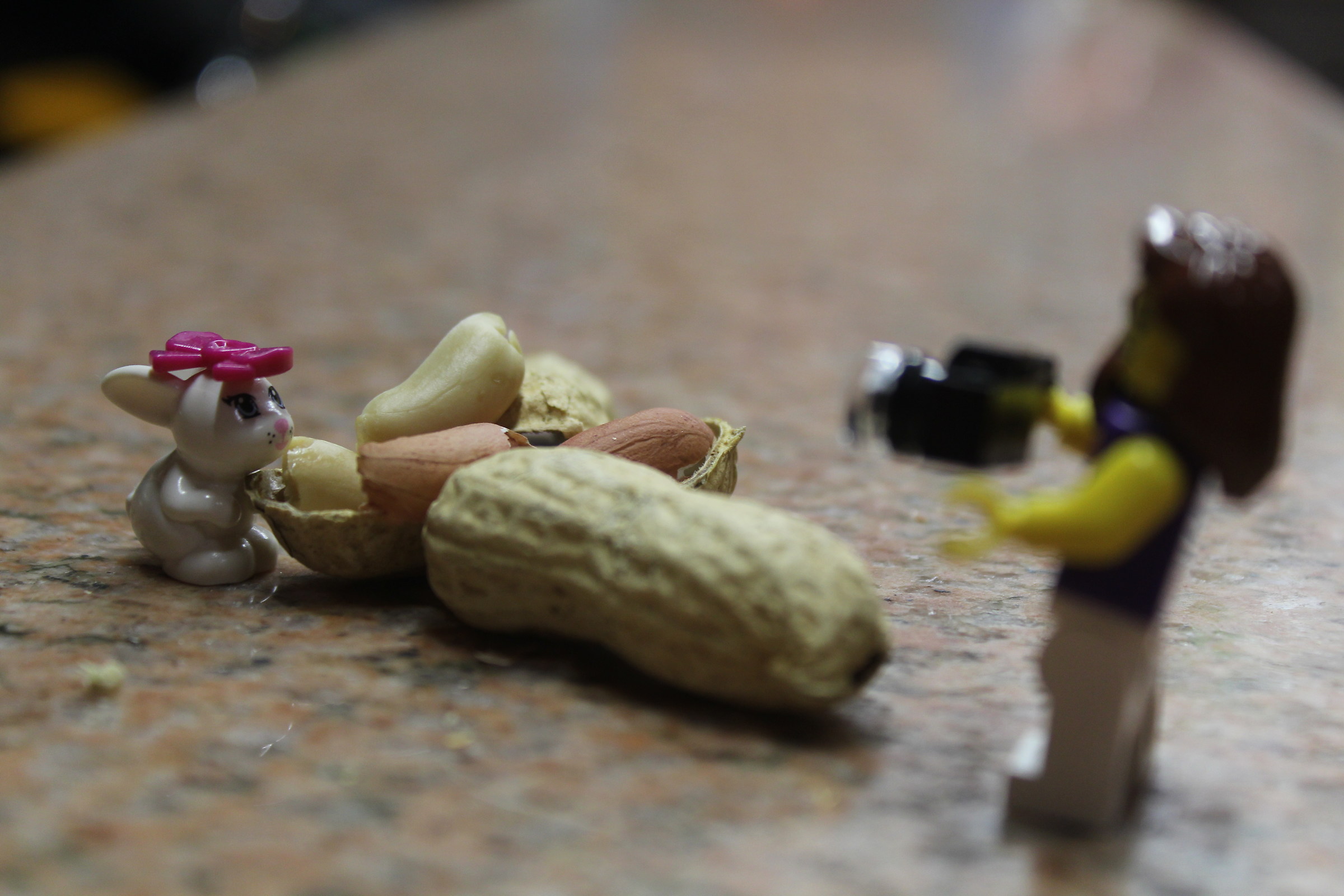 Il pasto della belva