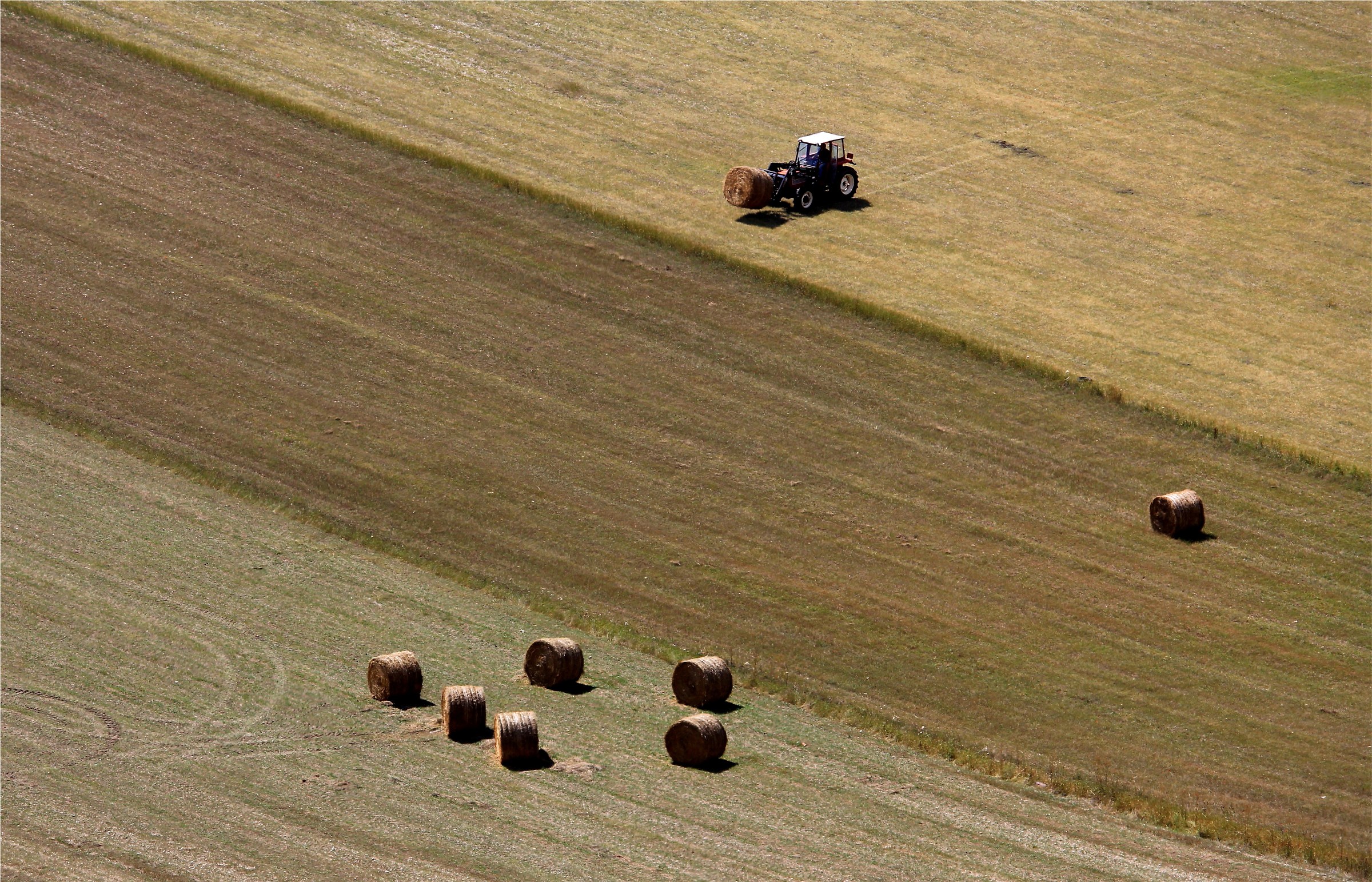 Lavori nella Piana di Castelluccio