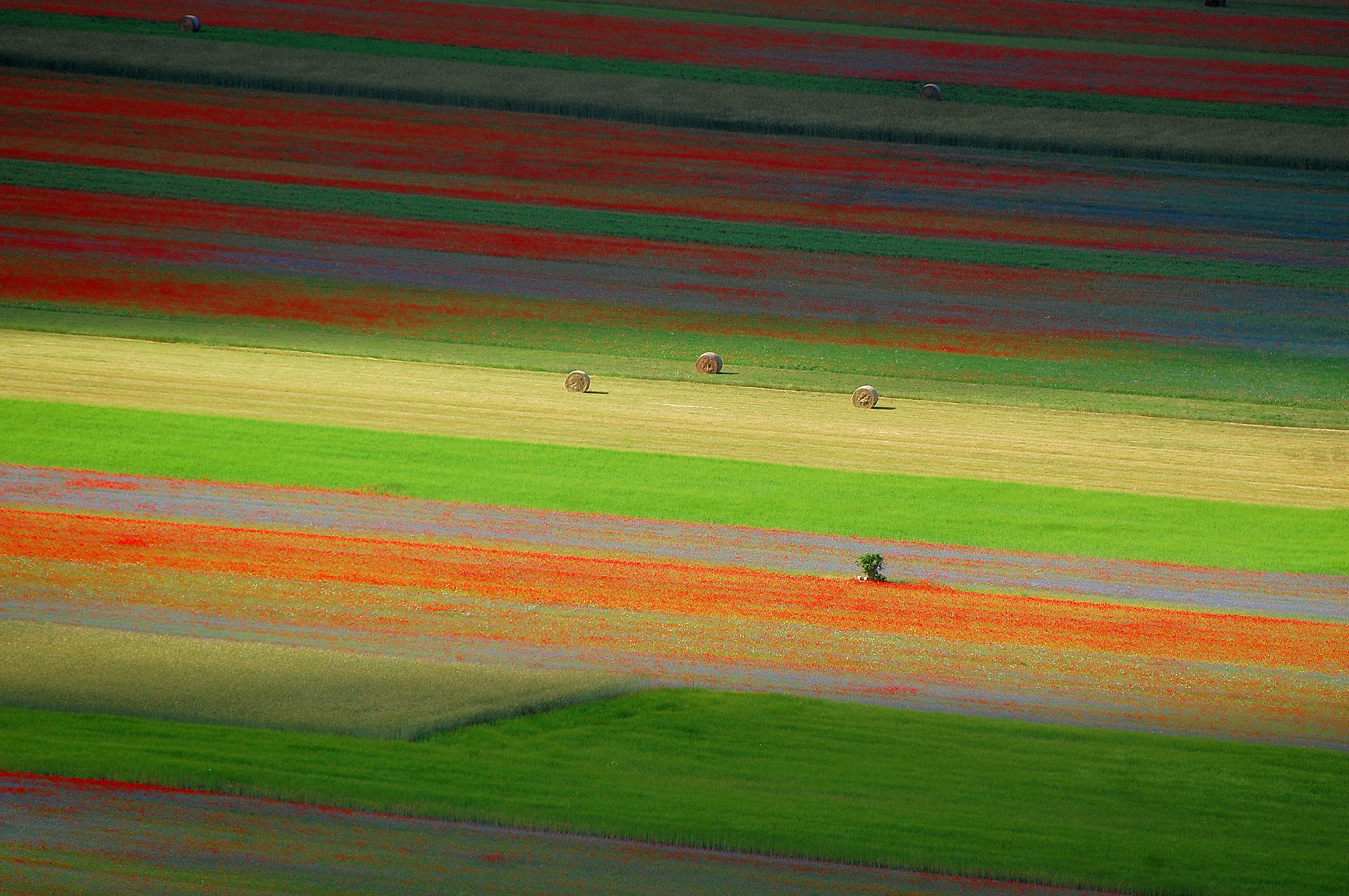 Castelluccio: colori tra ombre e luci