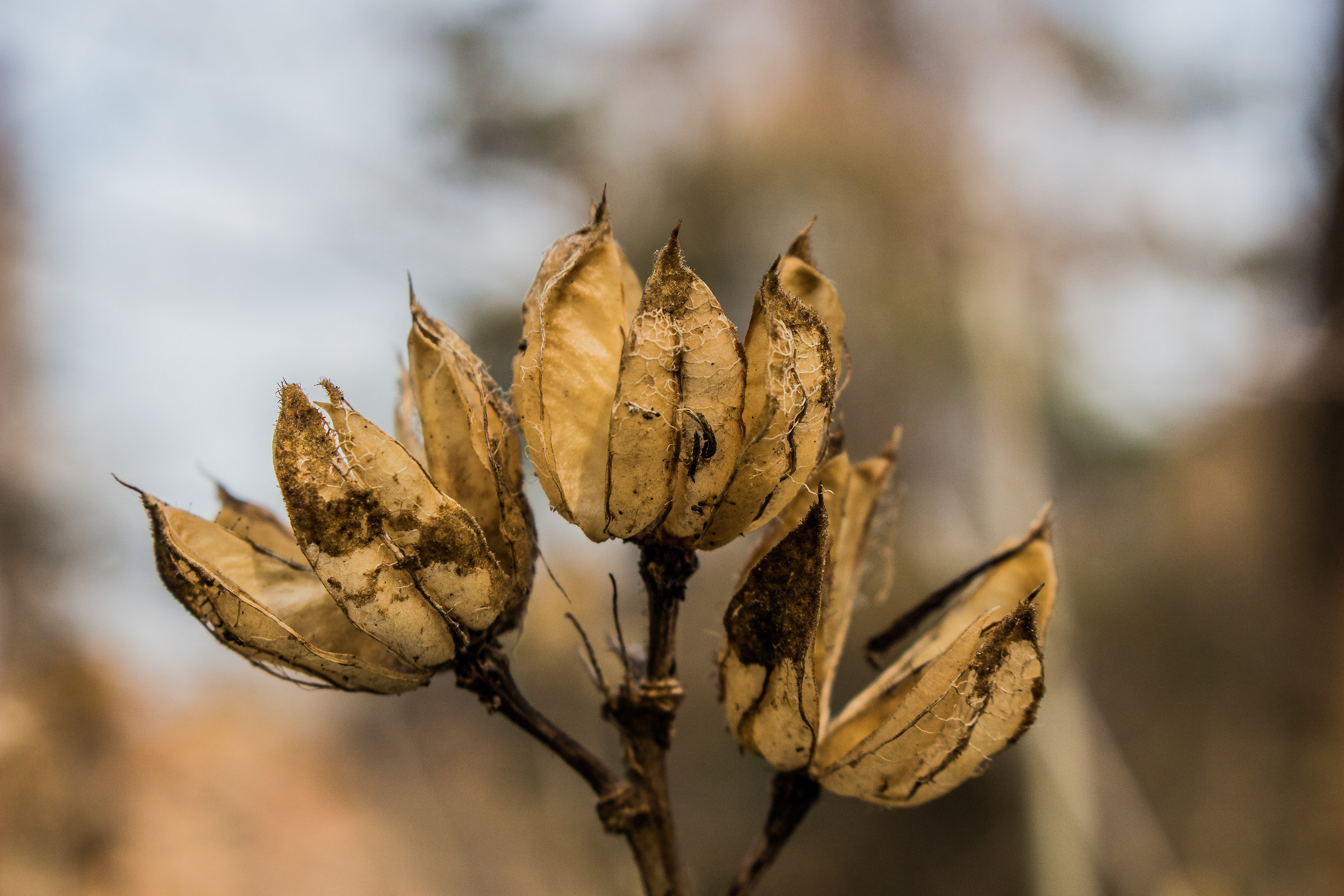 adesso siamo così, ma una volta......