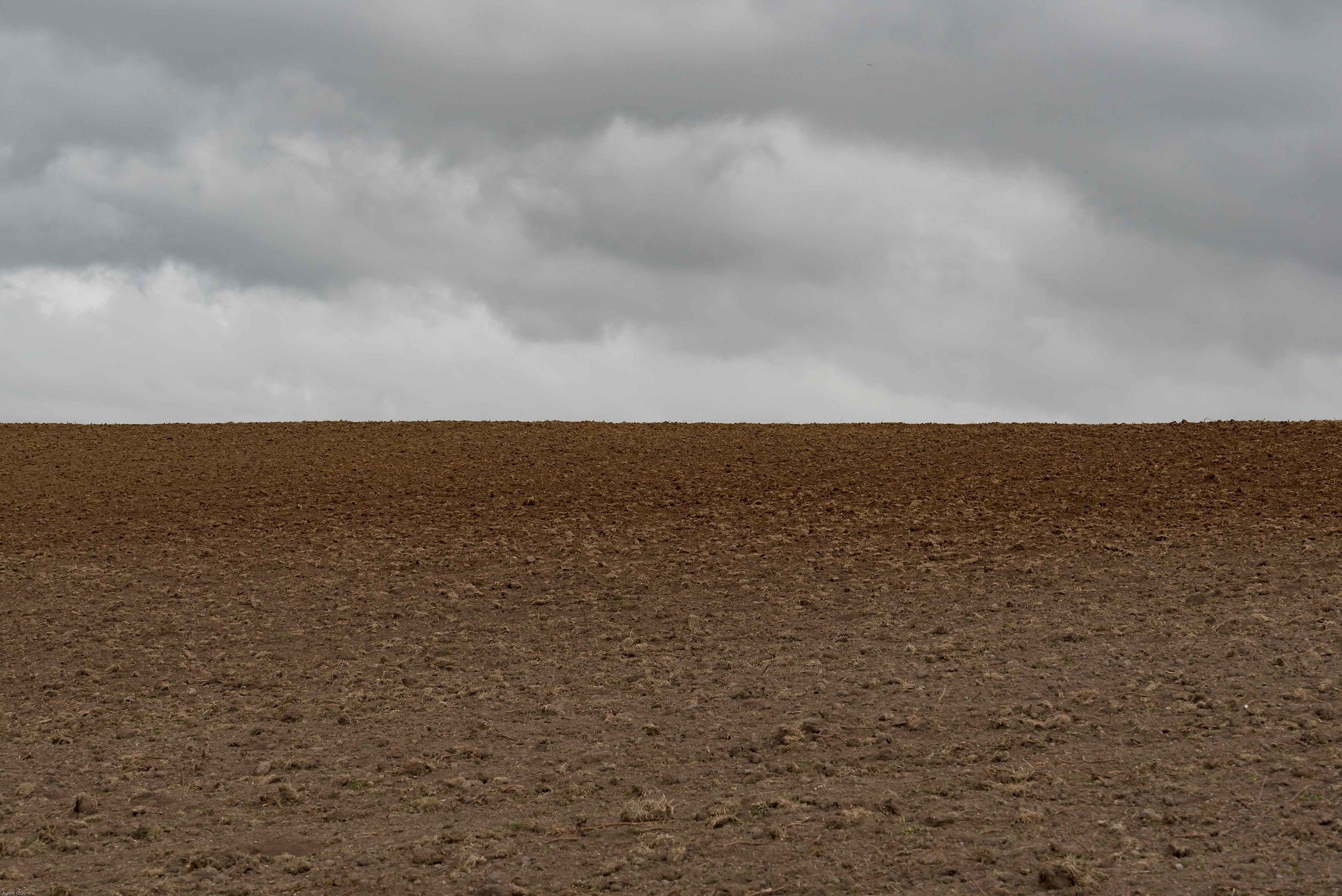 campo rosso con cielo nuvolo