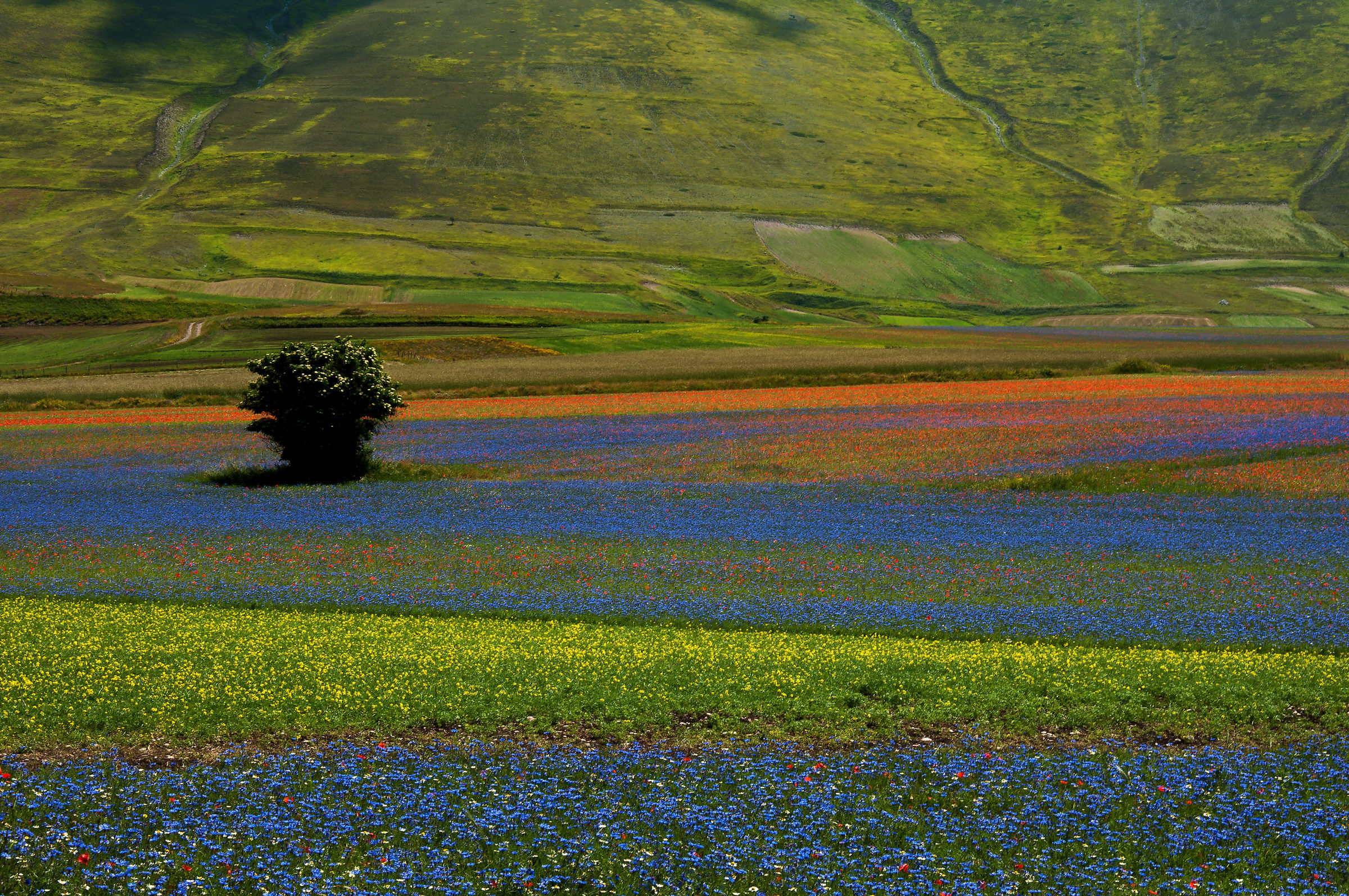 A corner of paradise