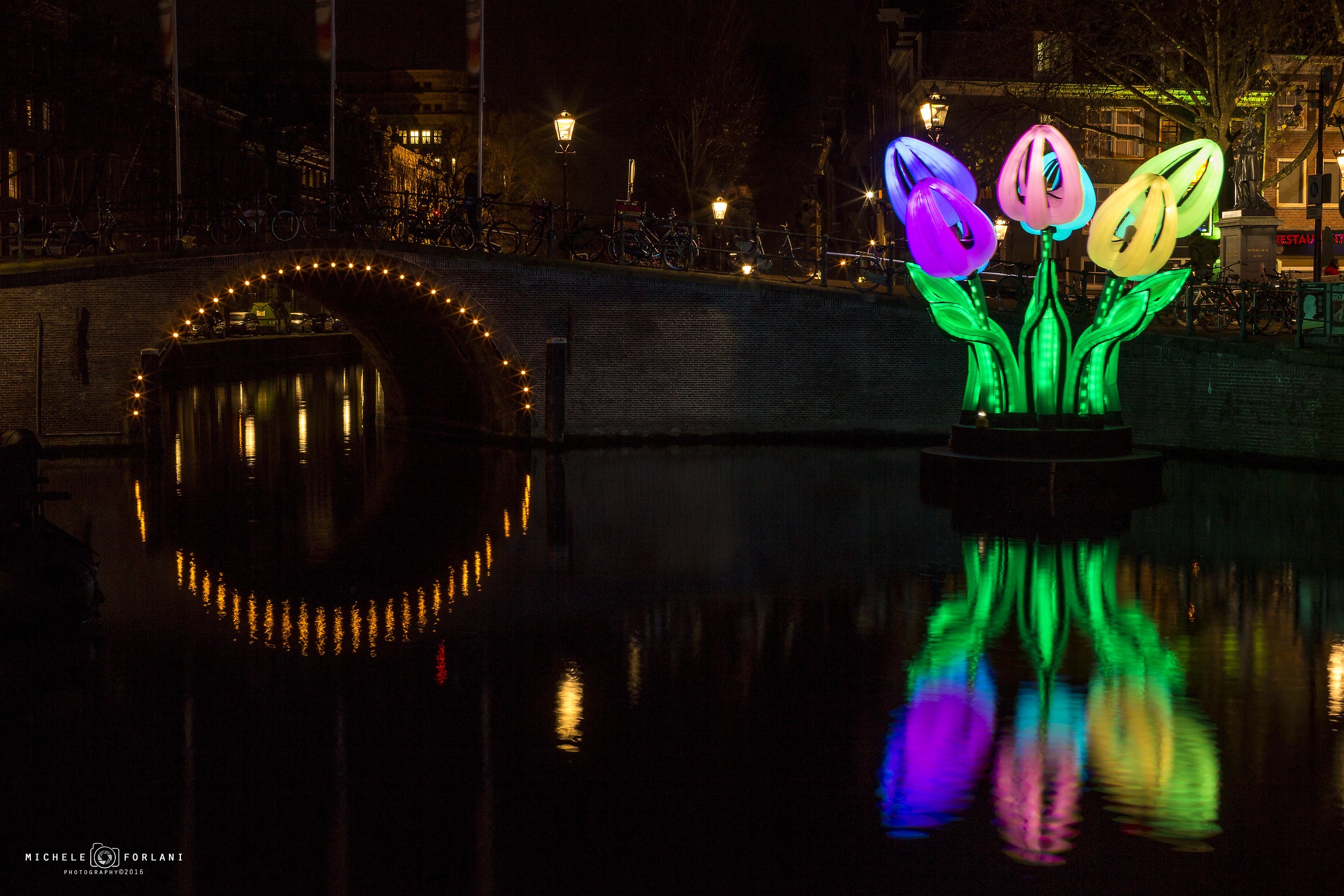 The overwater tulips