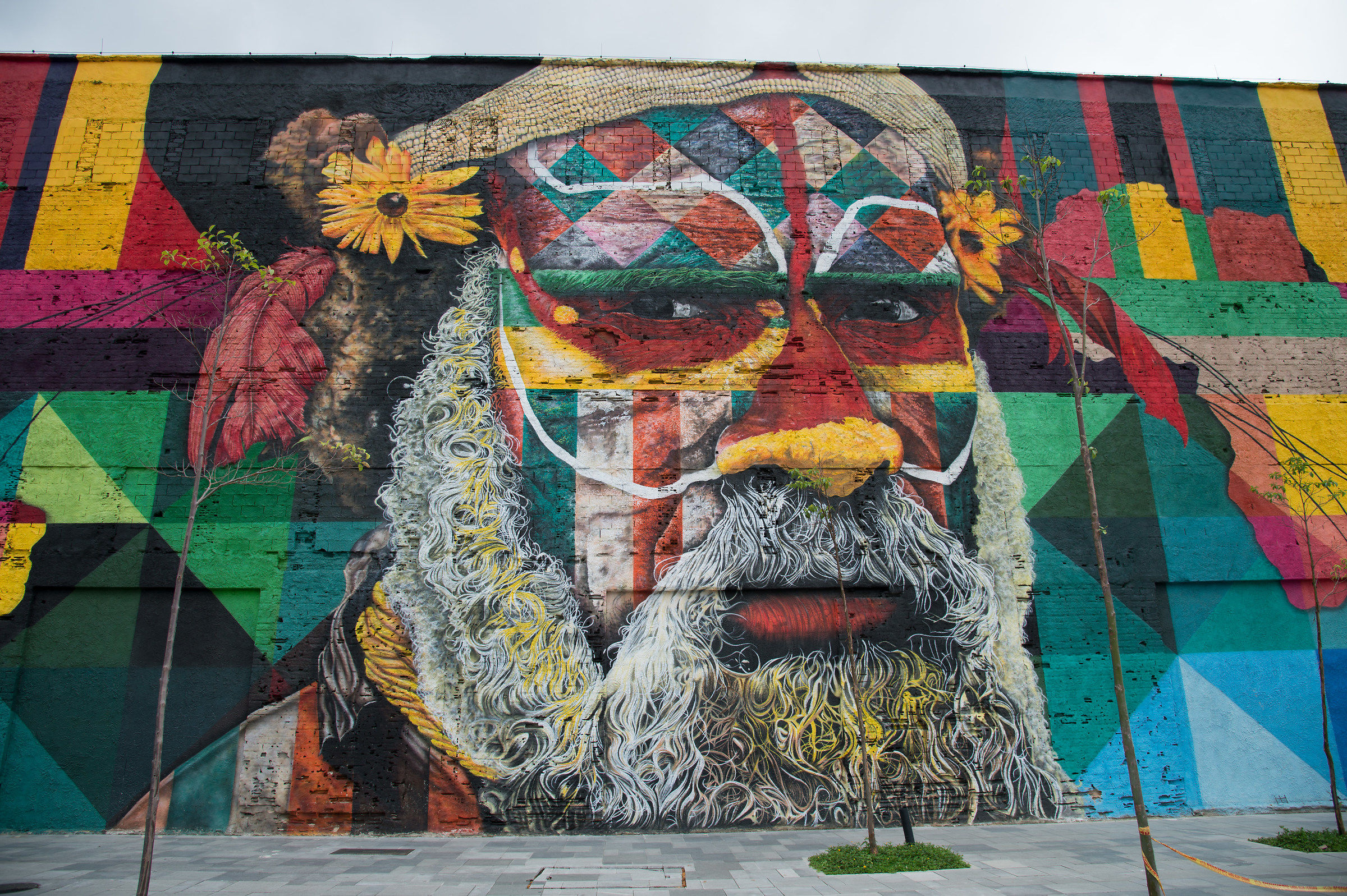 murales a rio artista kobra