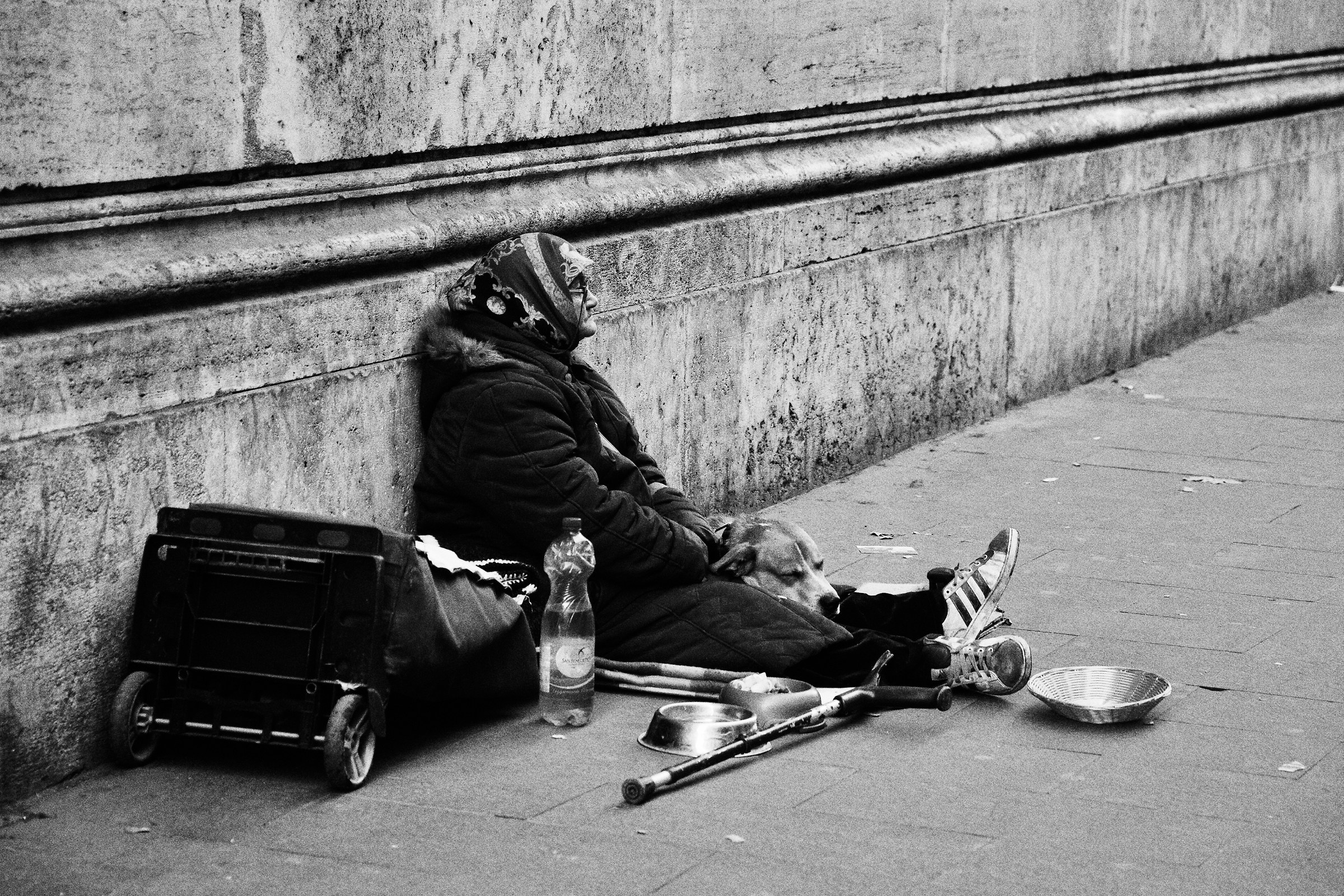 complice rassegnazione