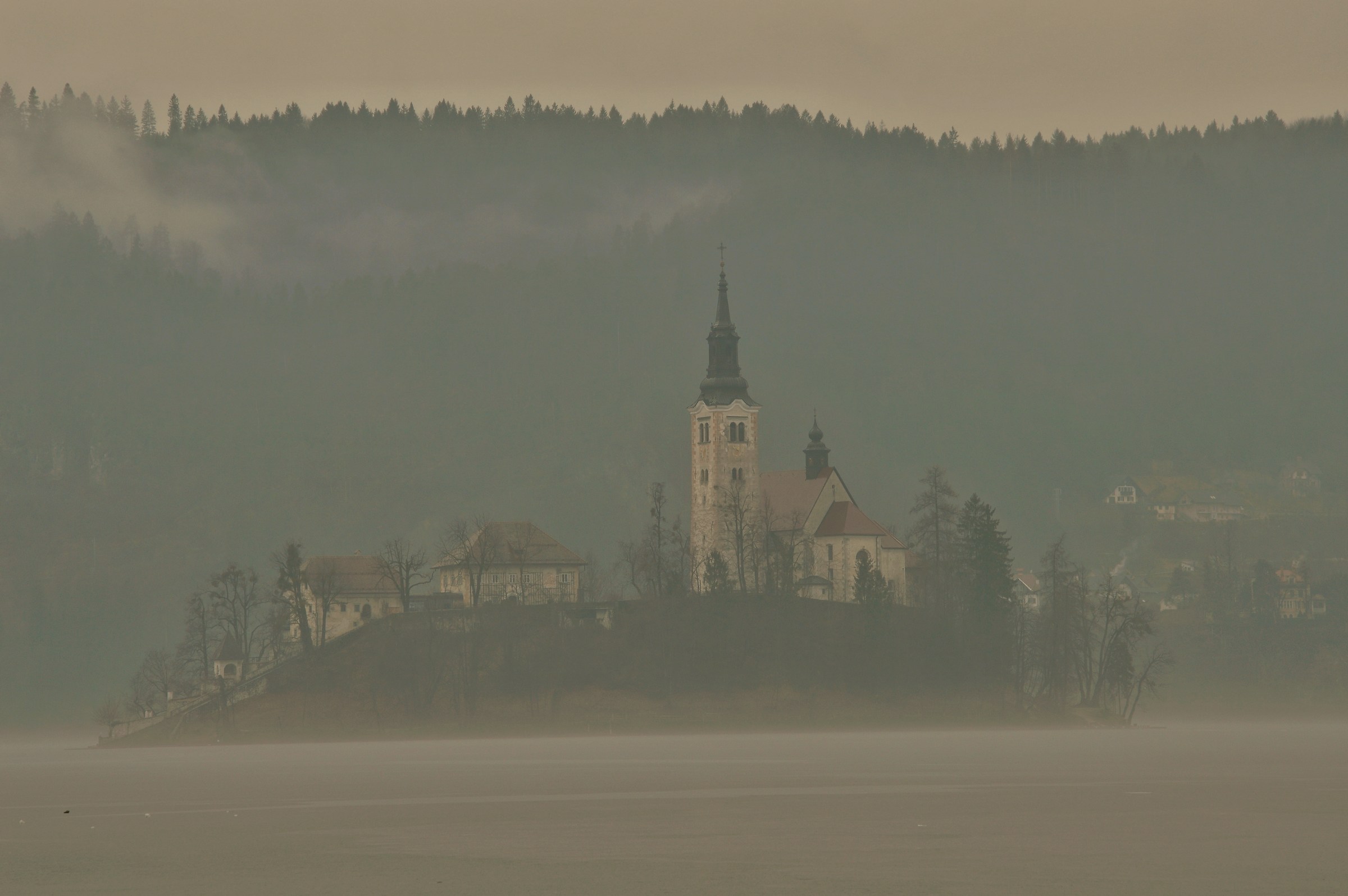 bled