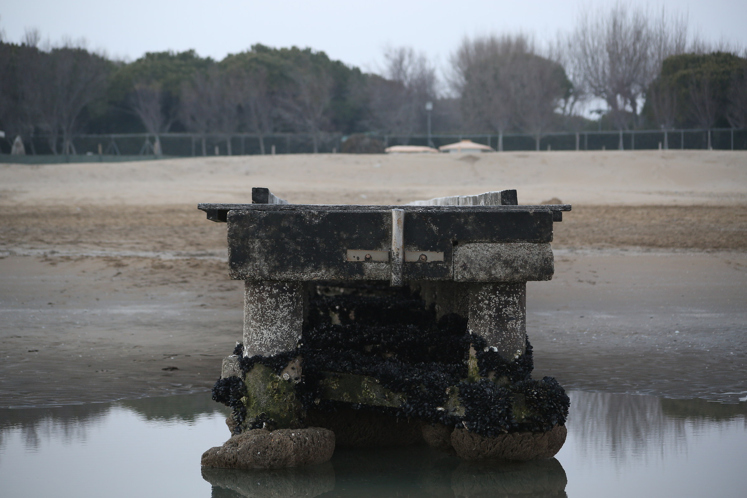 il pontile senza il mare