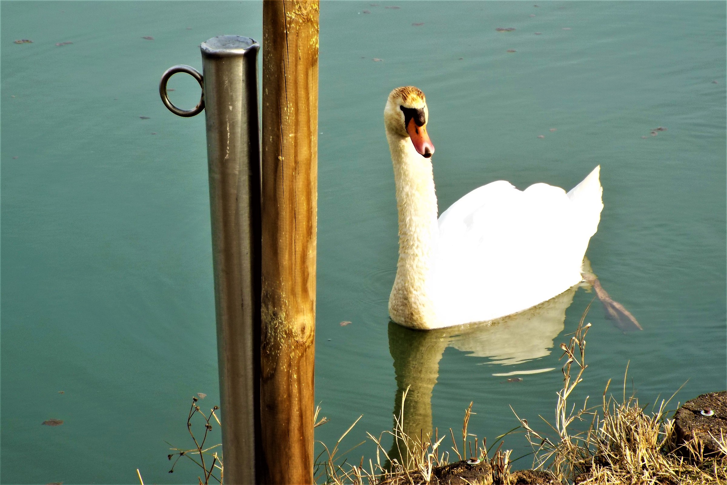 eye on the pole ....