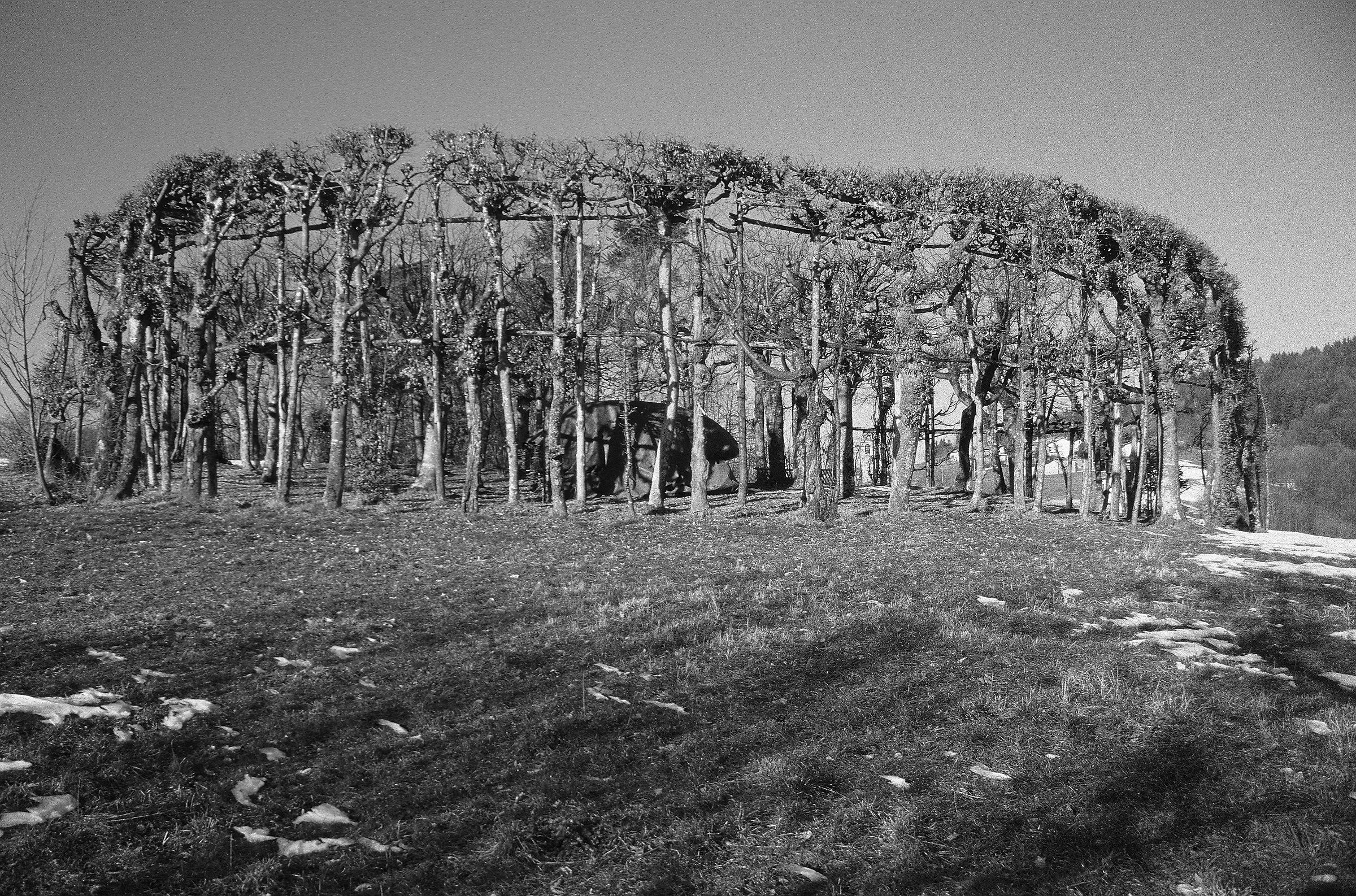 Roccolo. Val Brembana