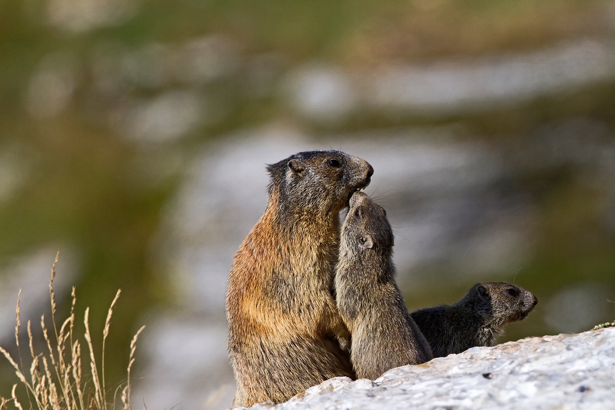 A kiss to my mother and I go to watch.