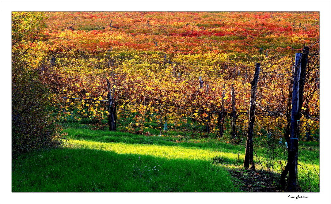 L'autunno dalle mie parti_2