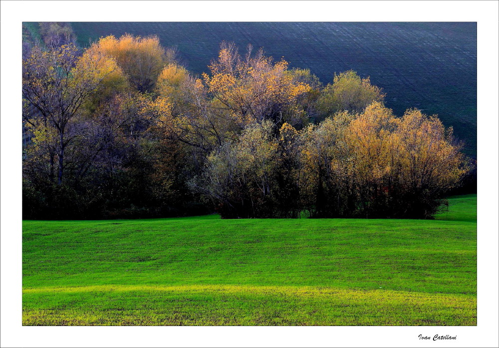 L'autunno dalle mie parti_3