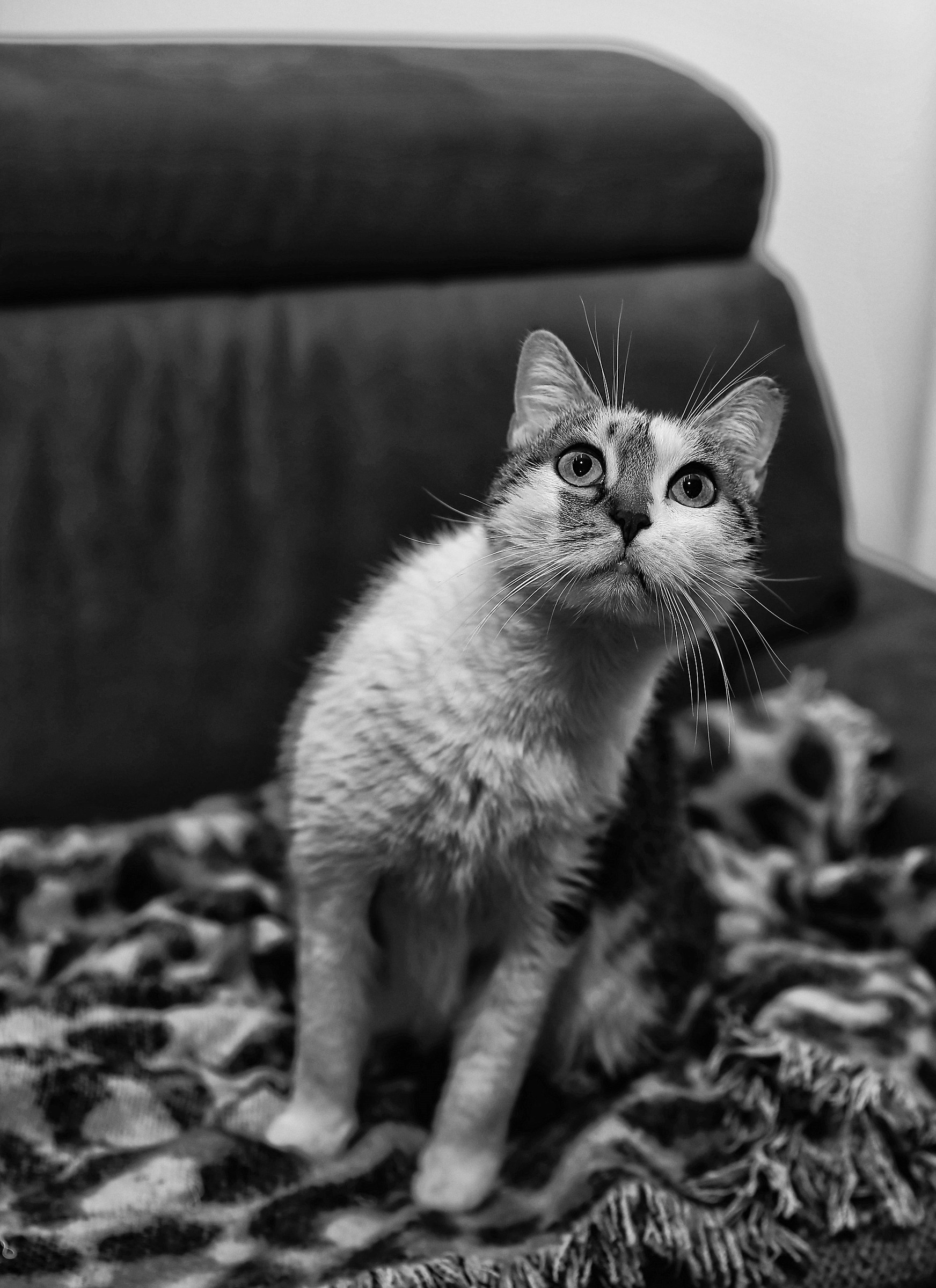 20 minuti in trance ...