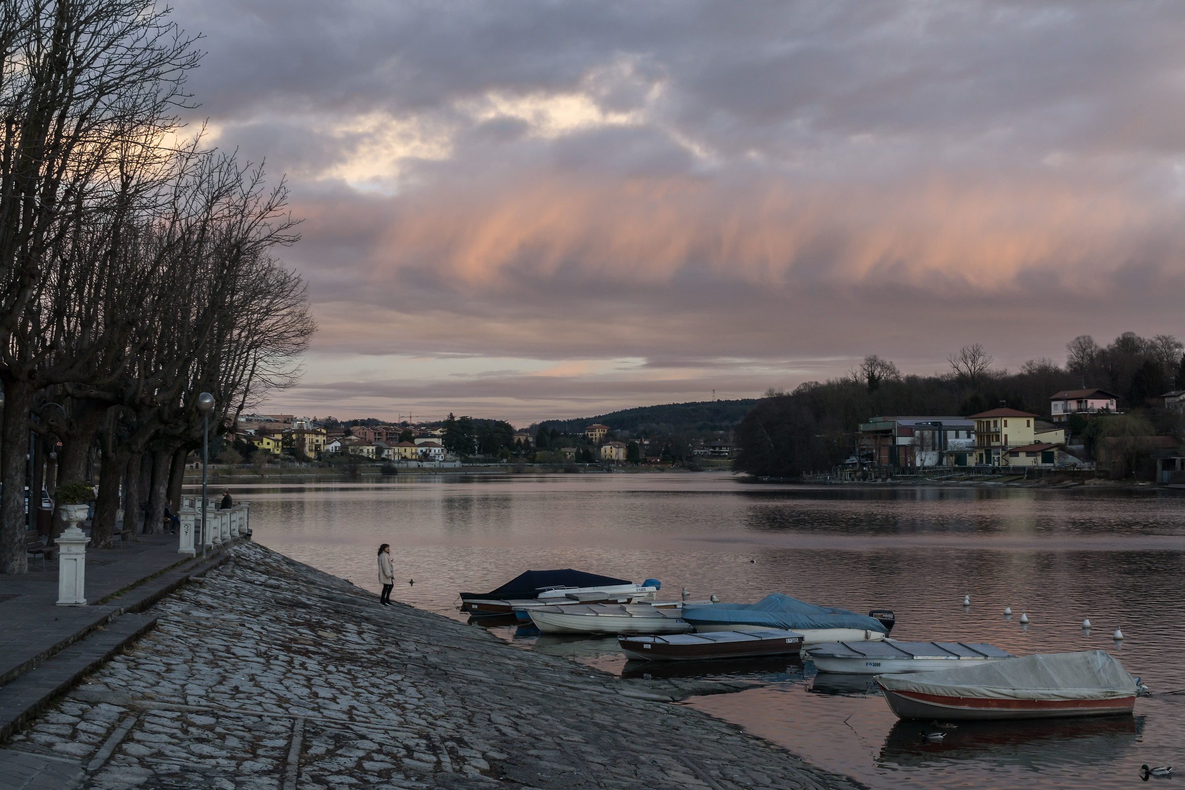 Lunedì 6 febbraio 2017, 17:36