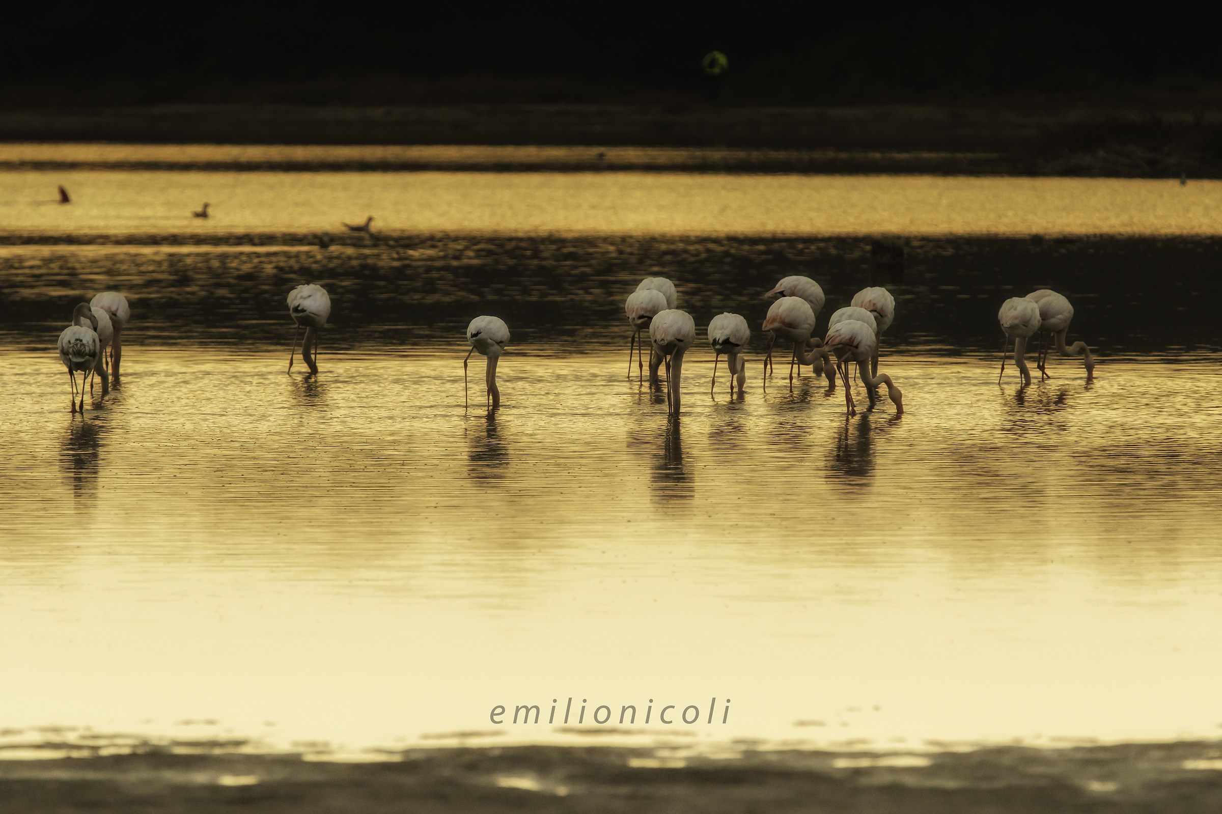 Africa? No, San Cataldo