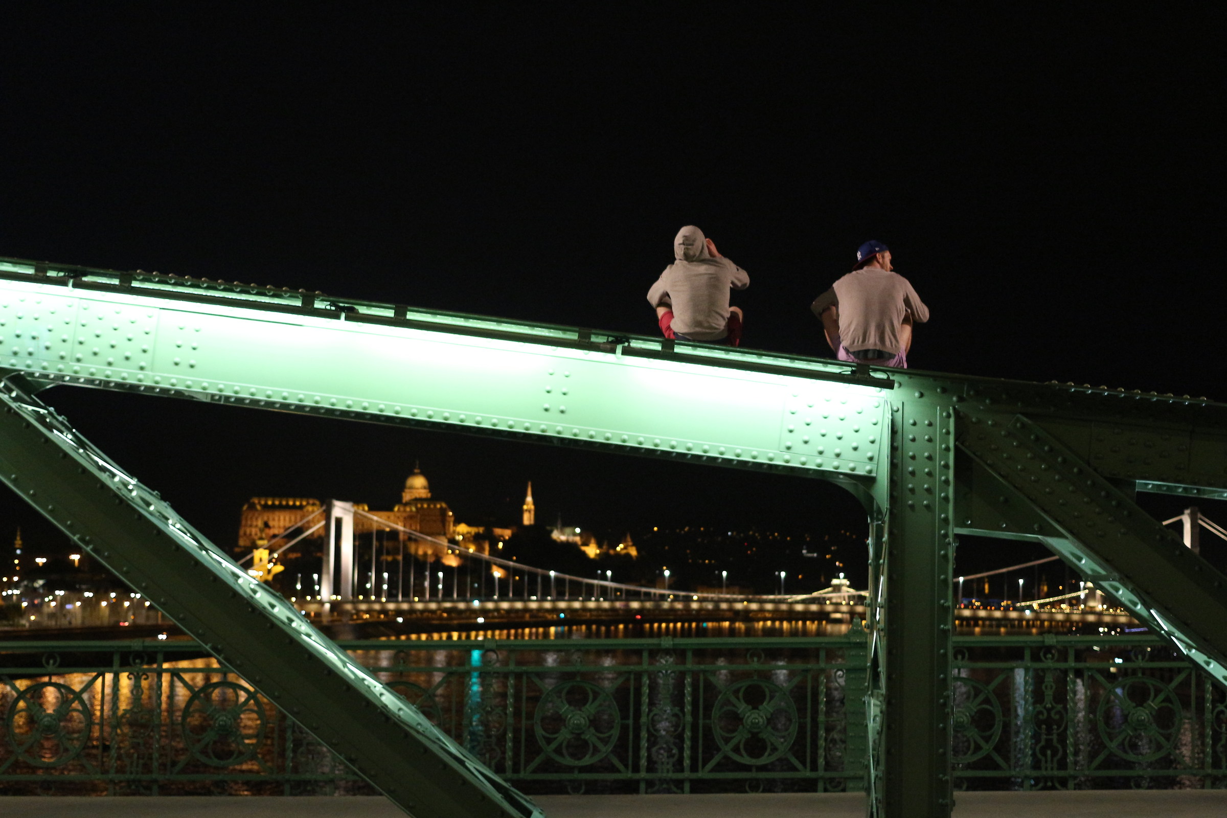 Szabadság híd (Liberty Bridge), budapest.