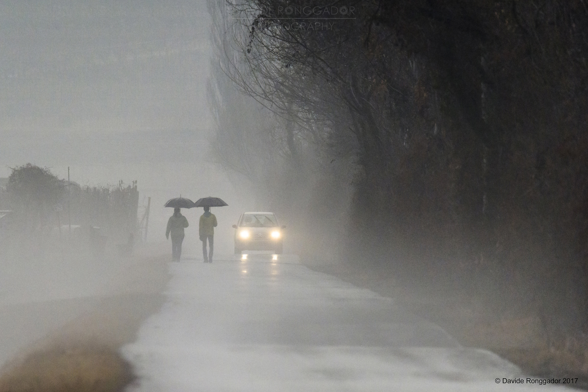 The fog makes all the wonderful things