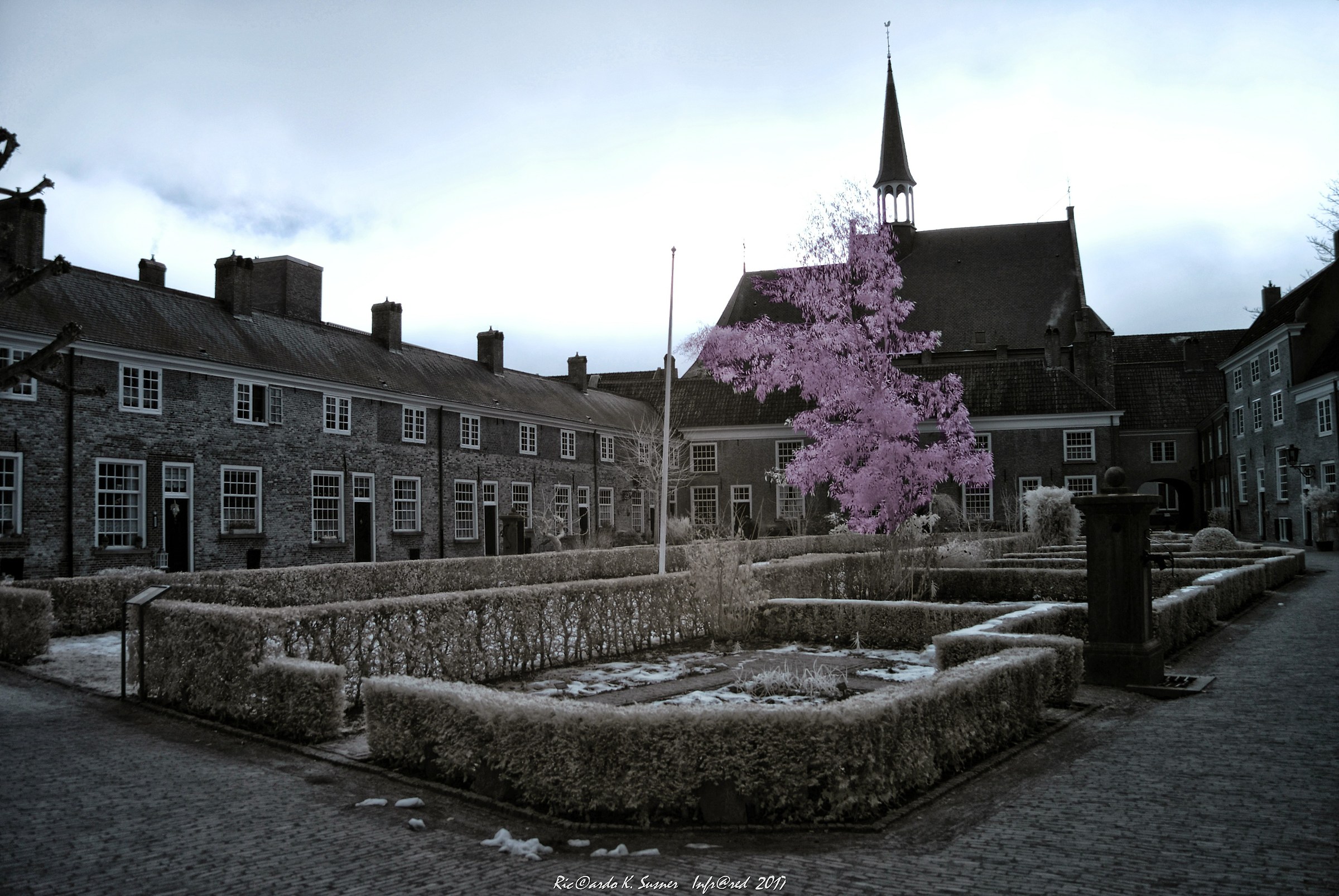 infrared Holland 1017
