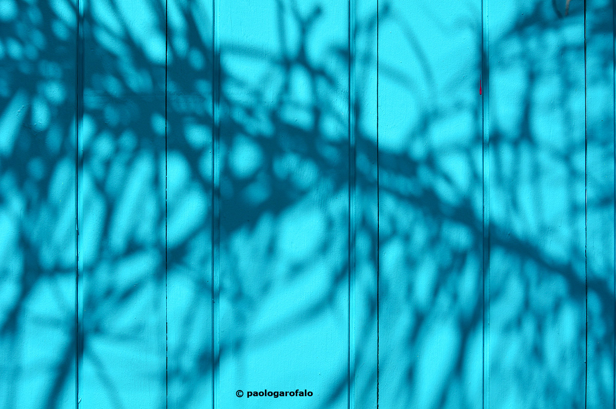 Giochi d'ombra in azzurro