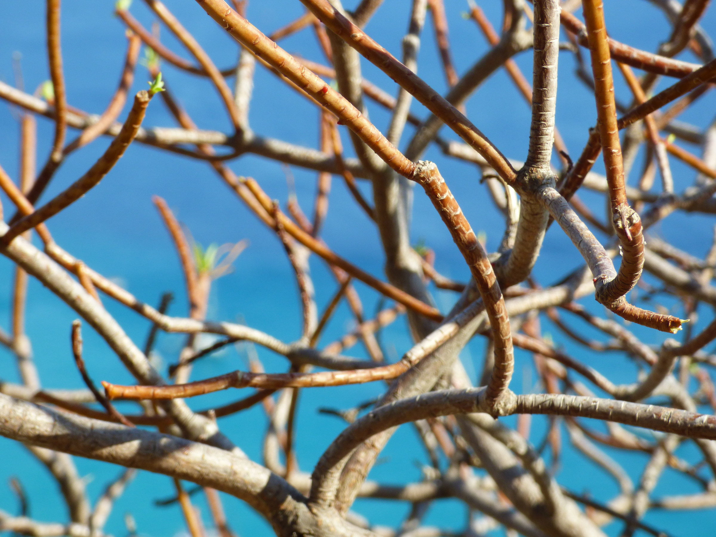 Terra e mare costa tirrenica