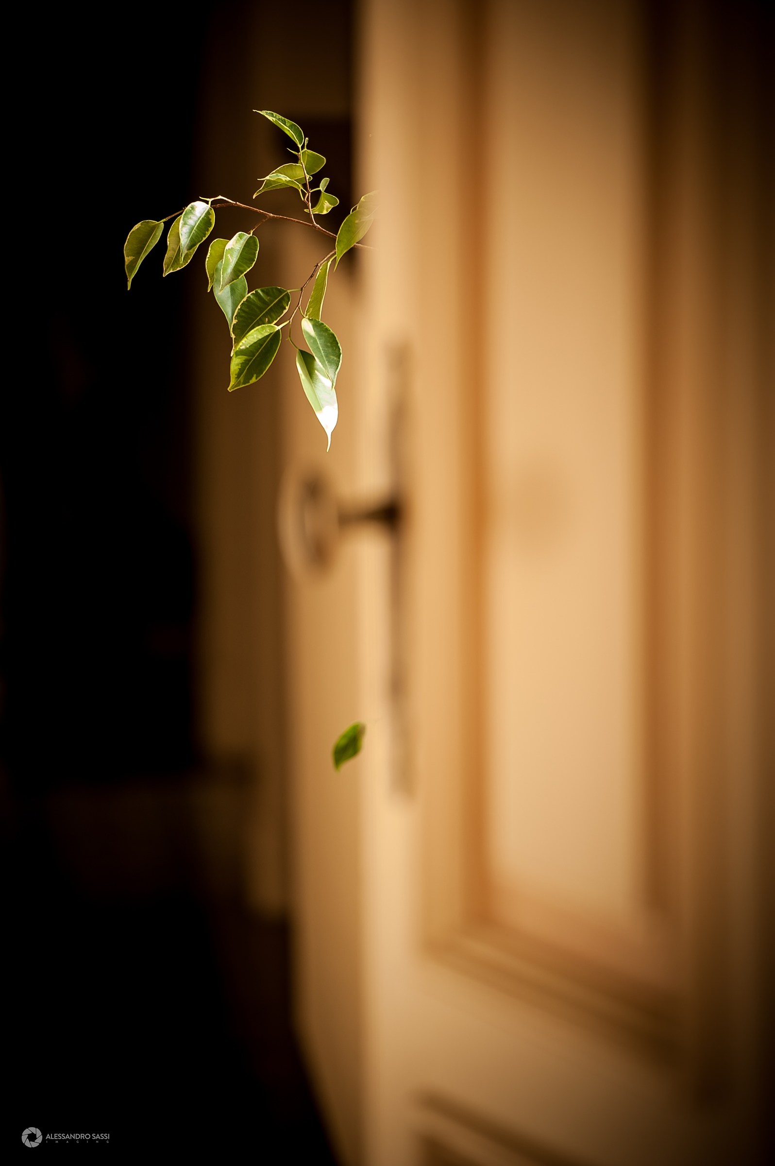 Next there is life ...