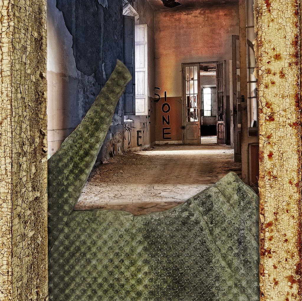 i colori dell'abbandono_11