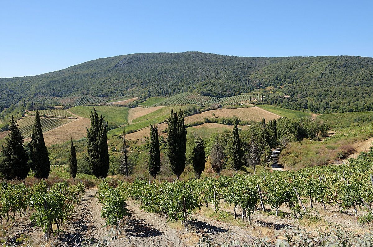 campagna toscana