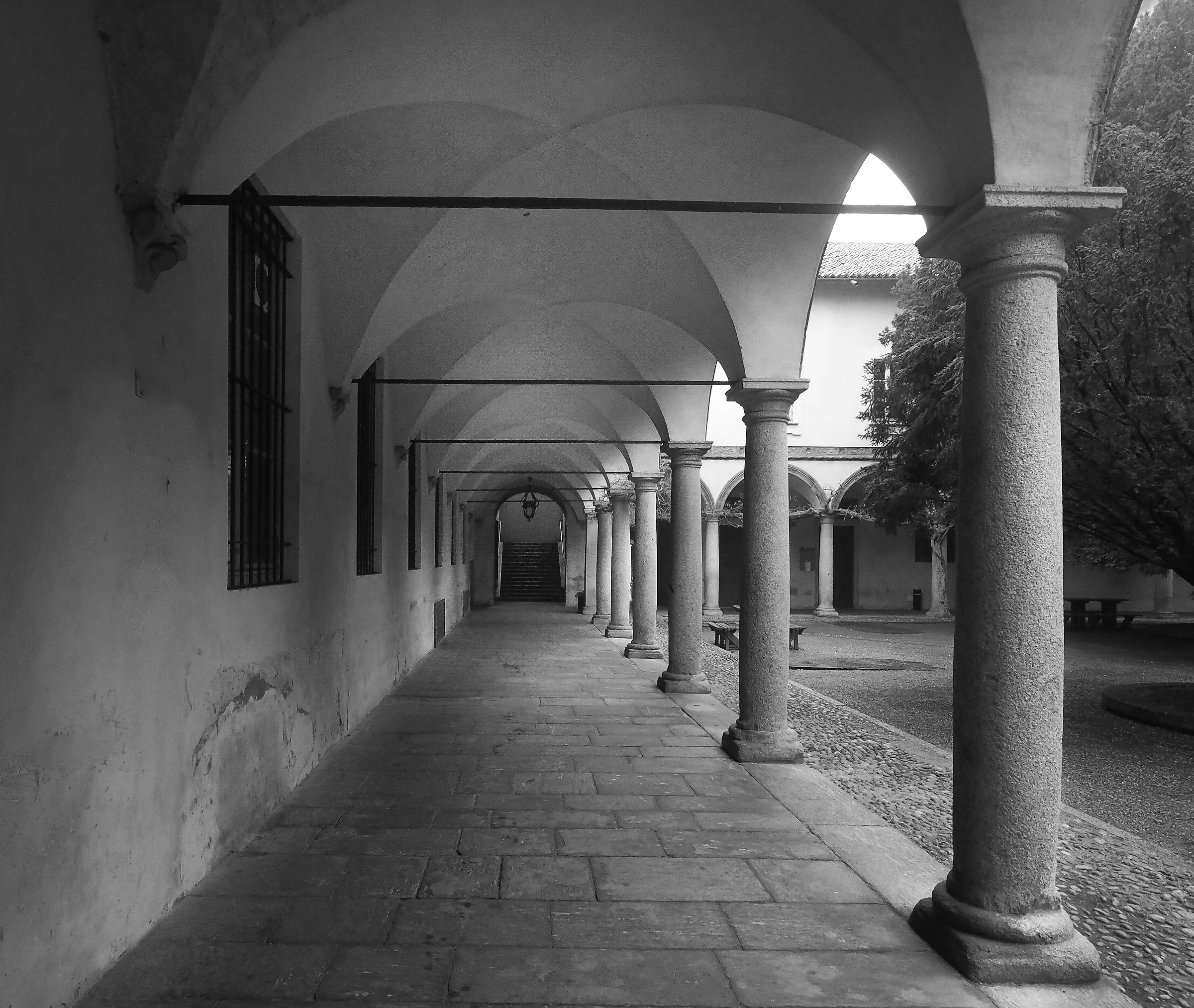 Pavia Universita'