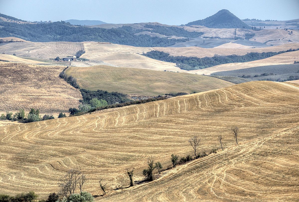 colline toscane