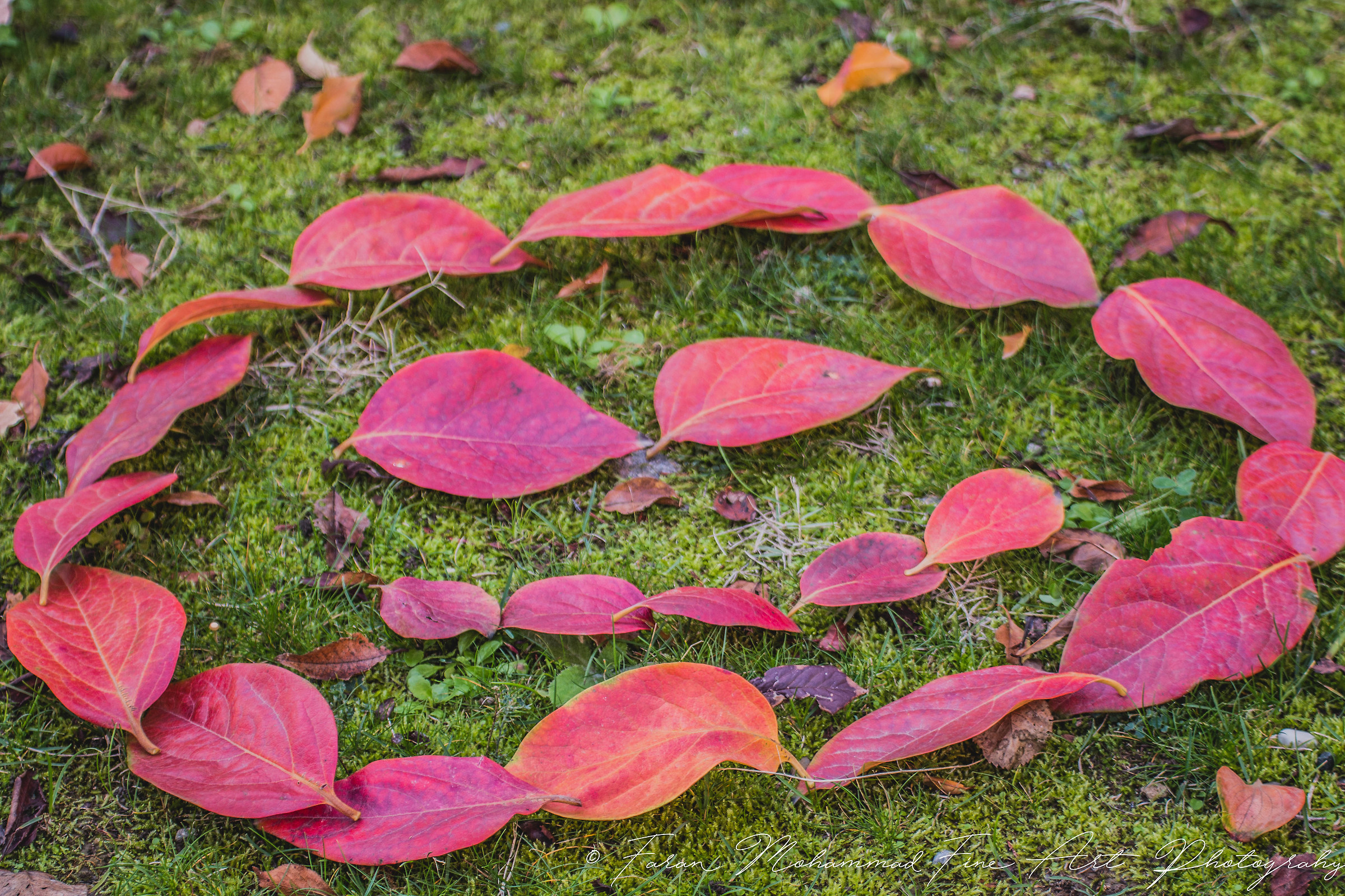 Autumn smile.