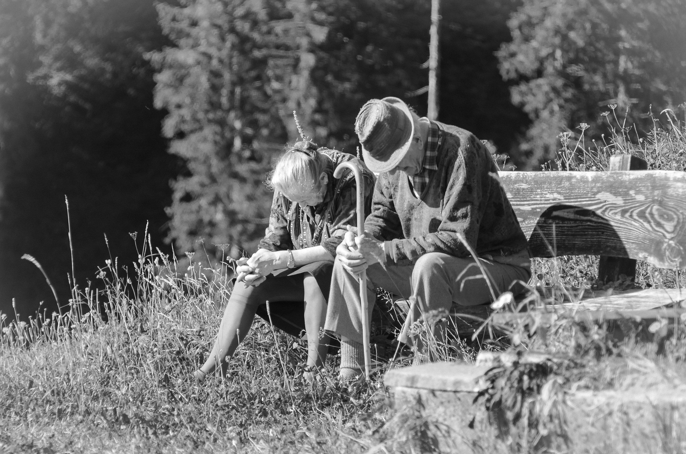 The sources of the Piave