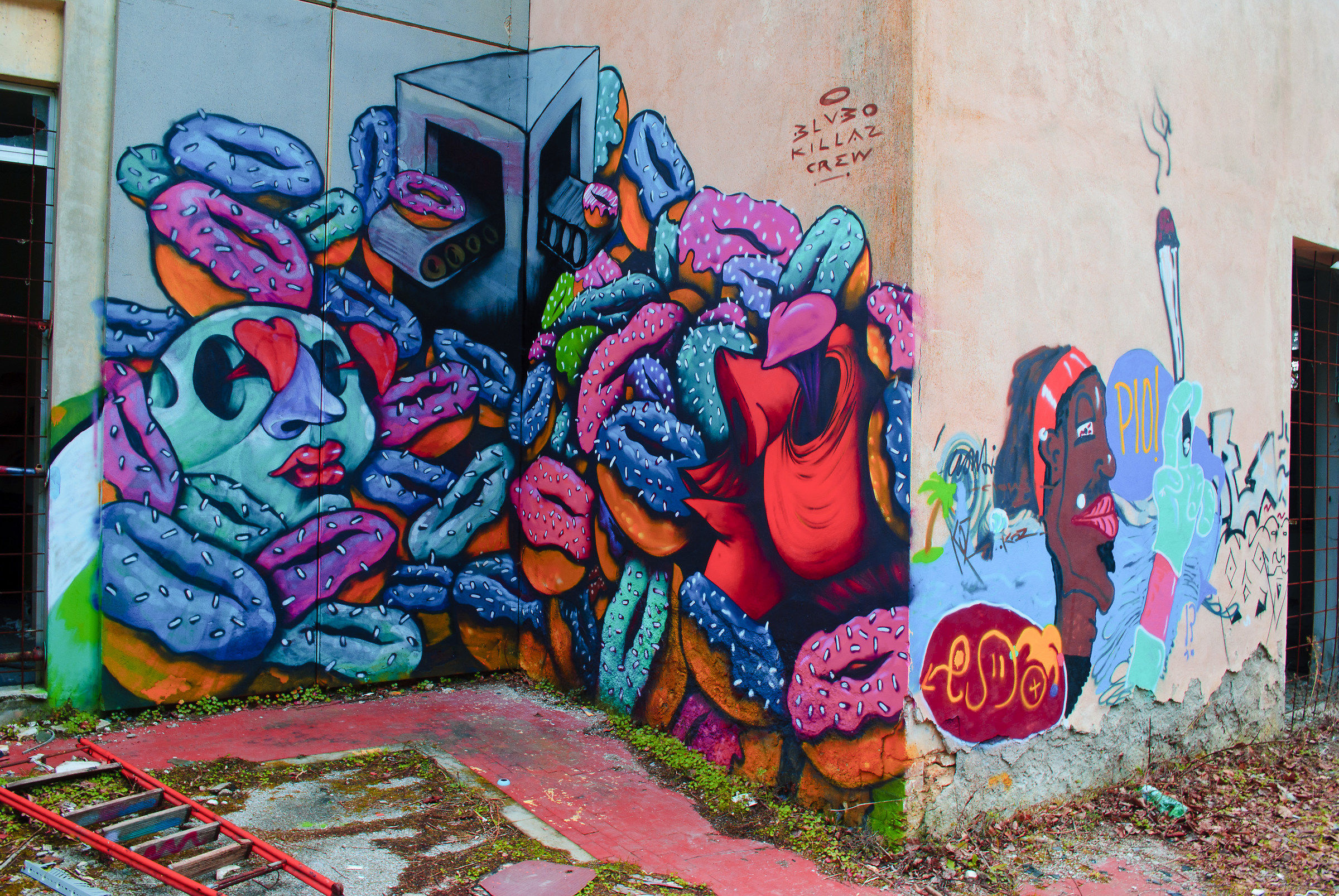 Murales-ex Ospedale Psichiatrico- Volterra