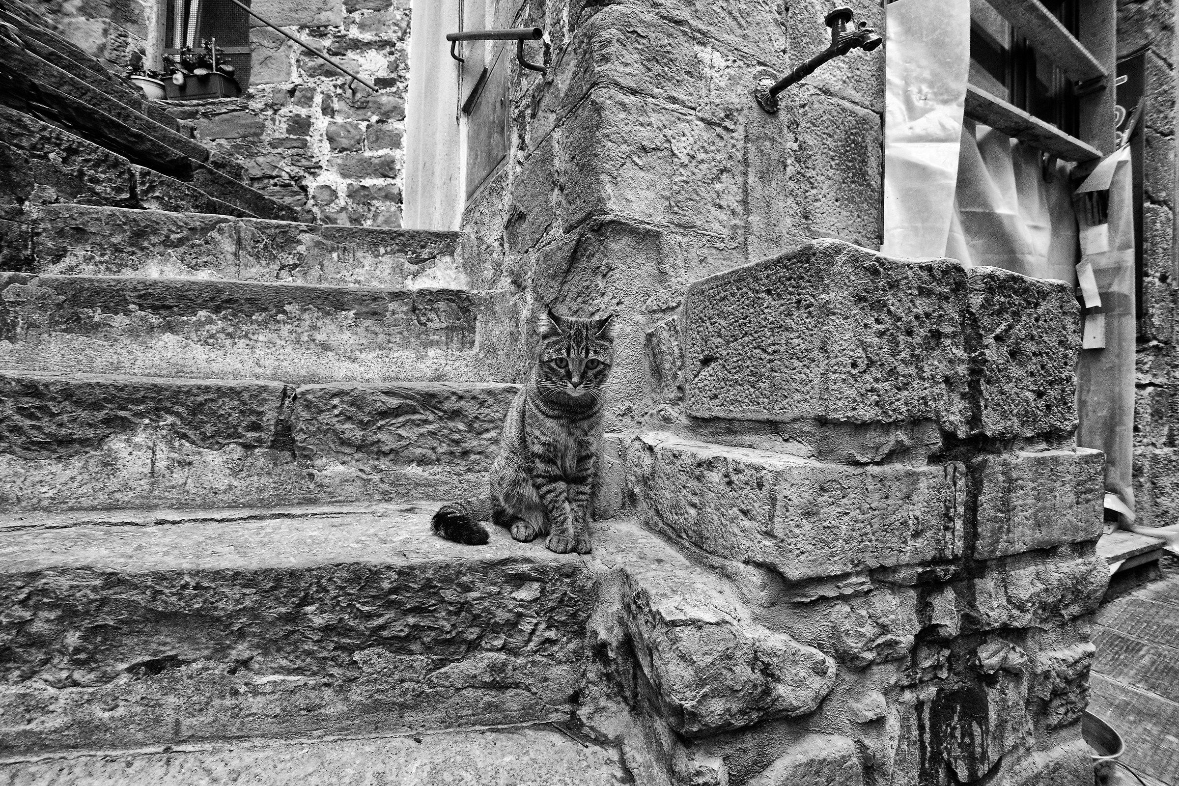 Incontro a Corniglia