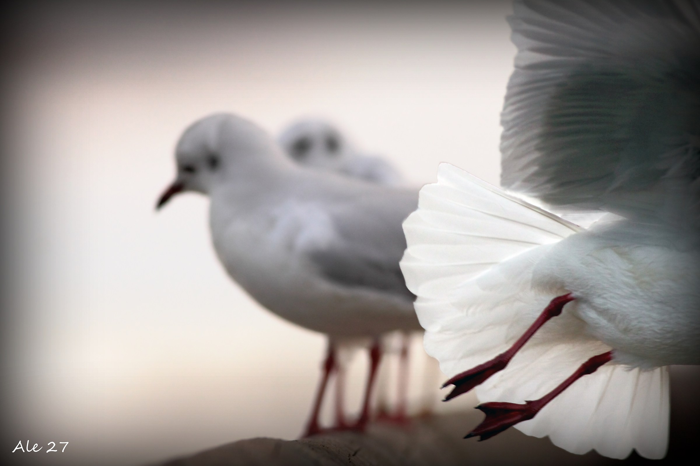 ... Guys ... I broke .... I go ... !!!