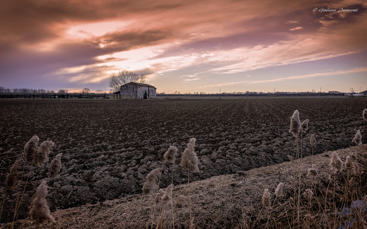 a glimpse into the farmhouse