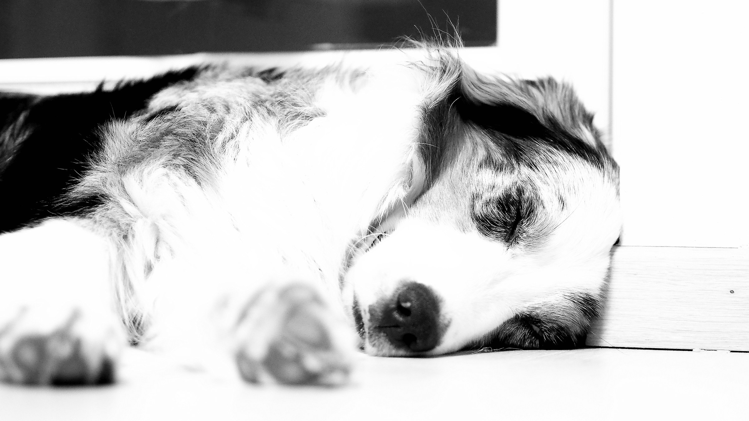 Black and white in high key