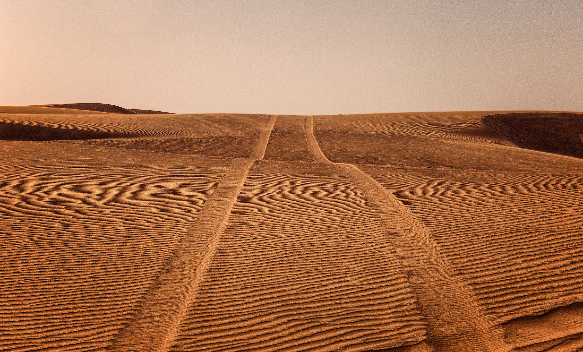 Footprints in the desert