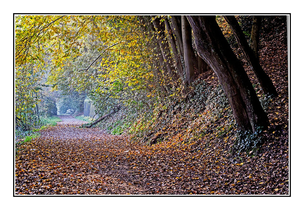 Impressions of September