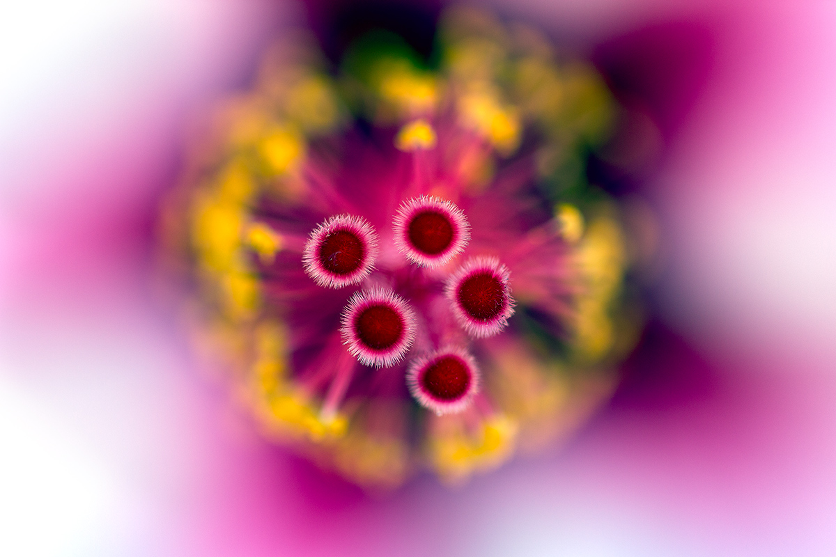 Passeggiando tra i colori.. 3