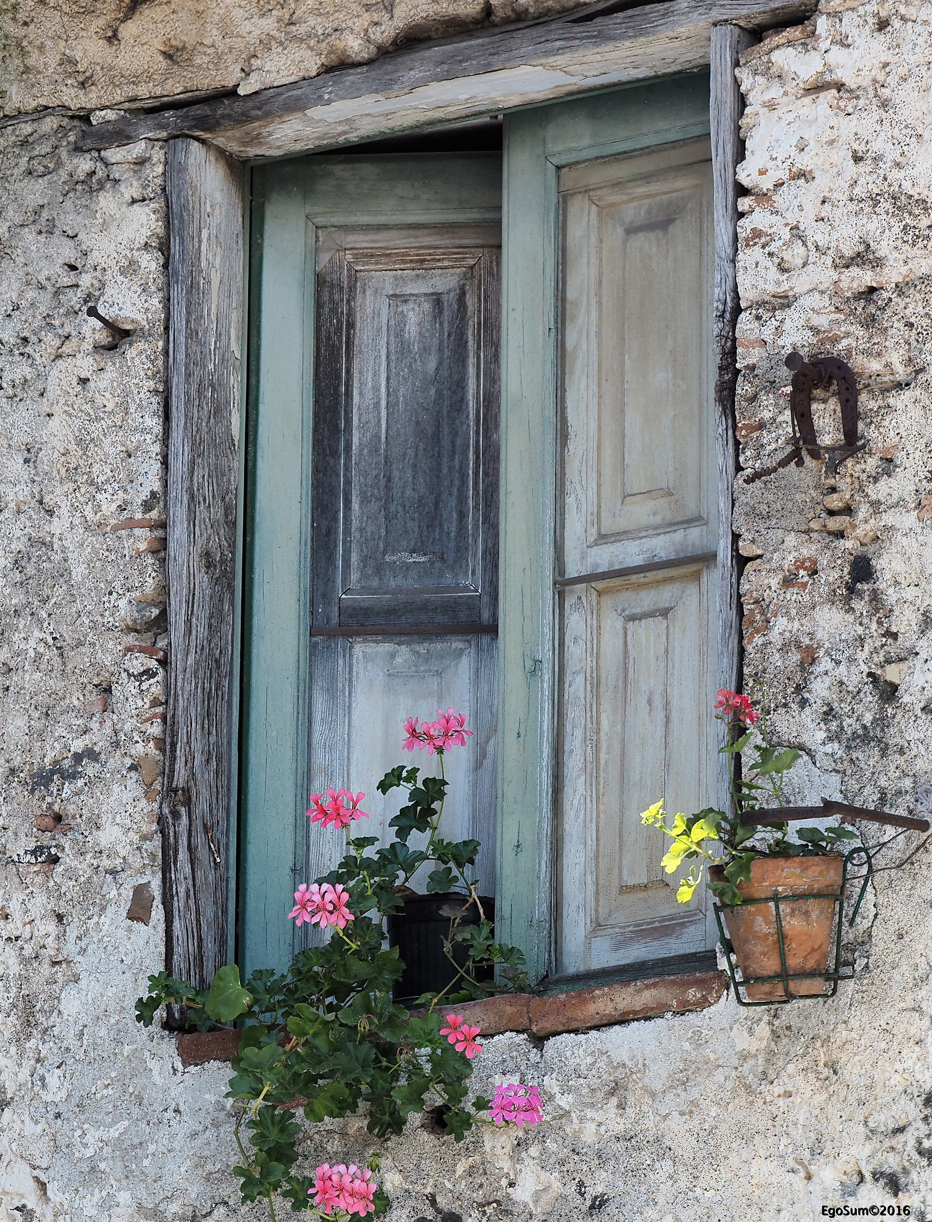 1 Flowers in the window